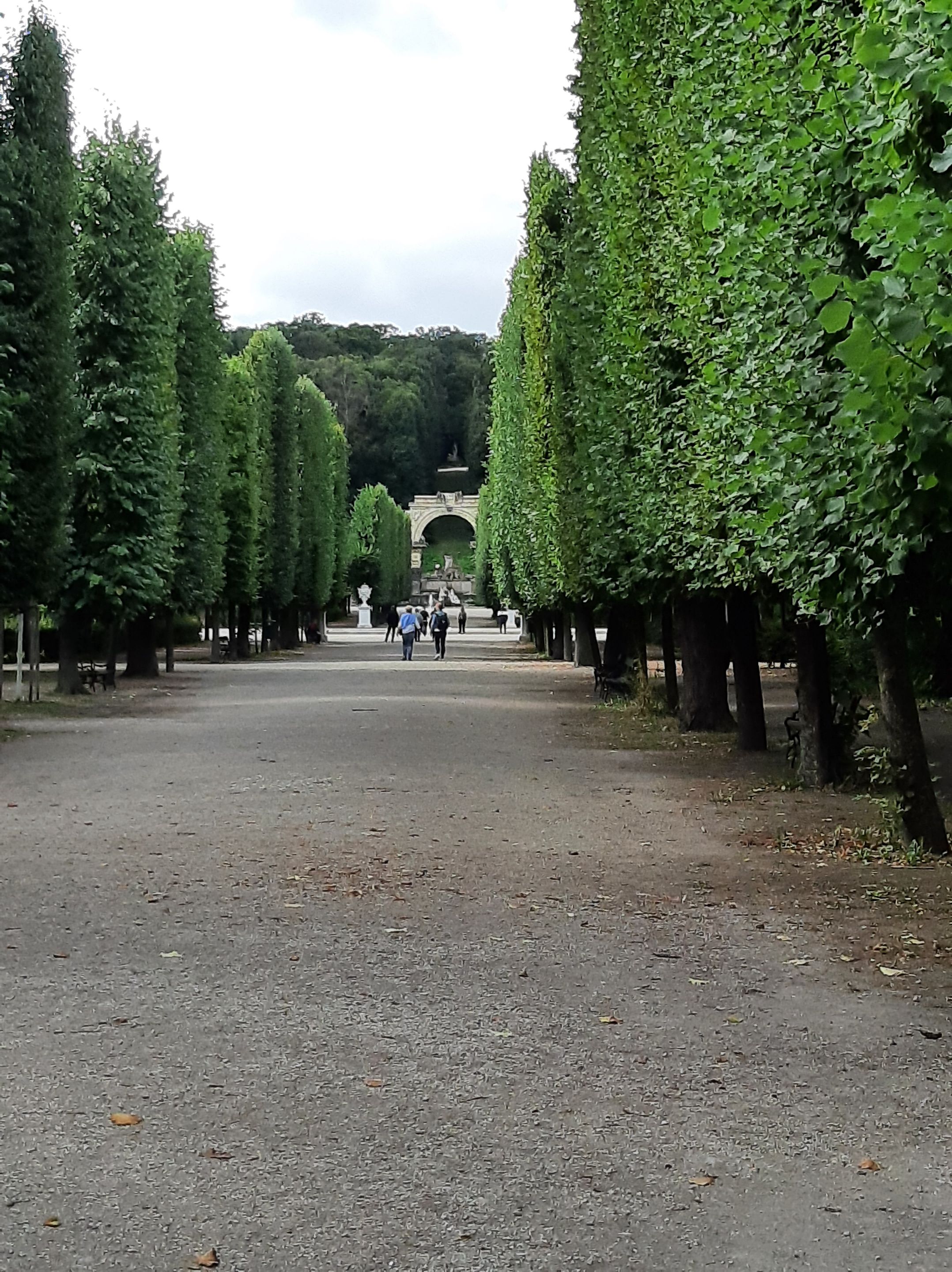 20230830_102852.jpg