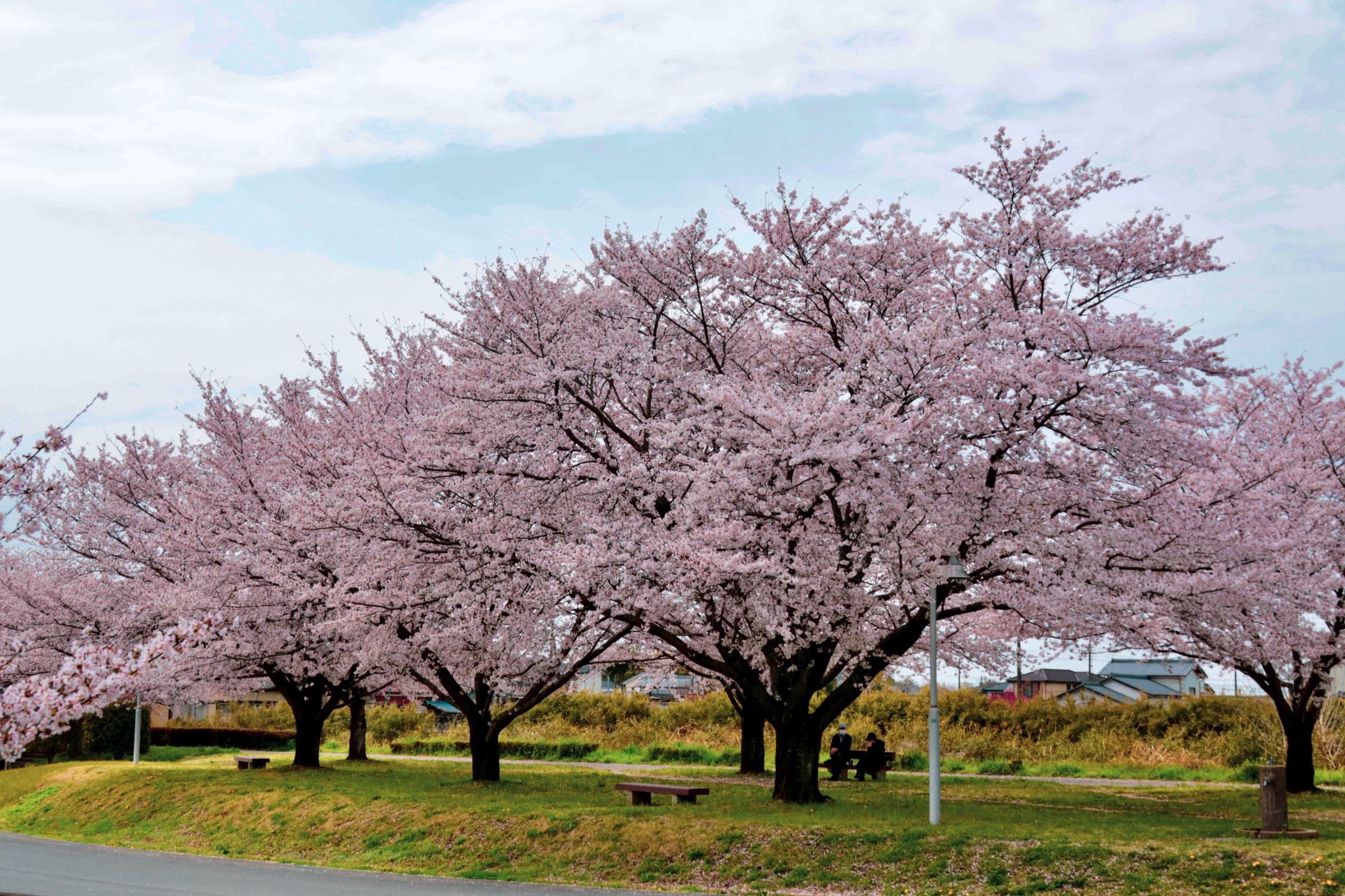 C12D1E0B-94ED-4A0B-ADD6-F00A8EF5A170.jpeg
