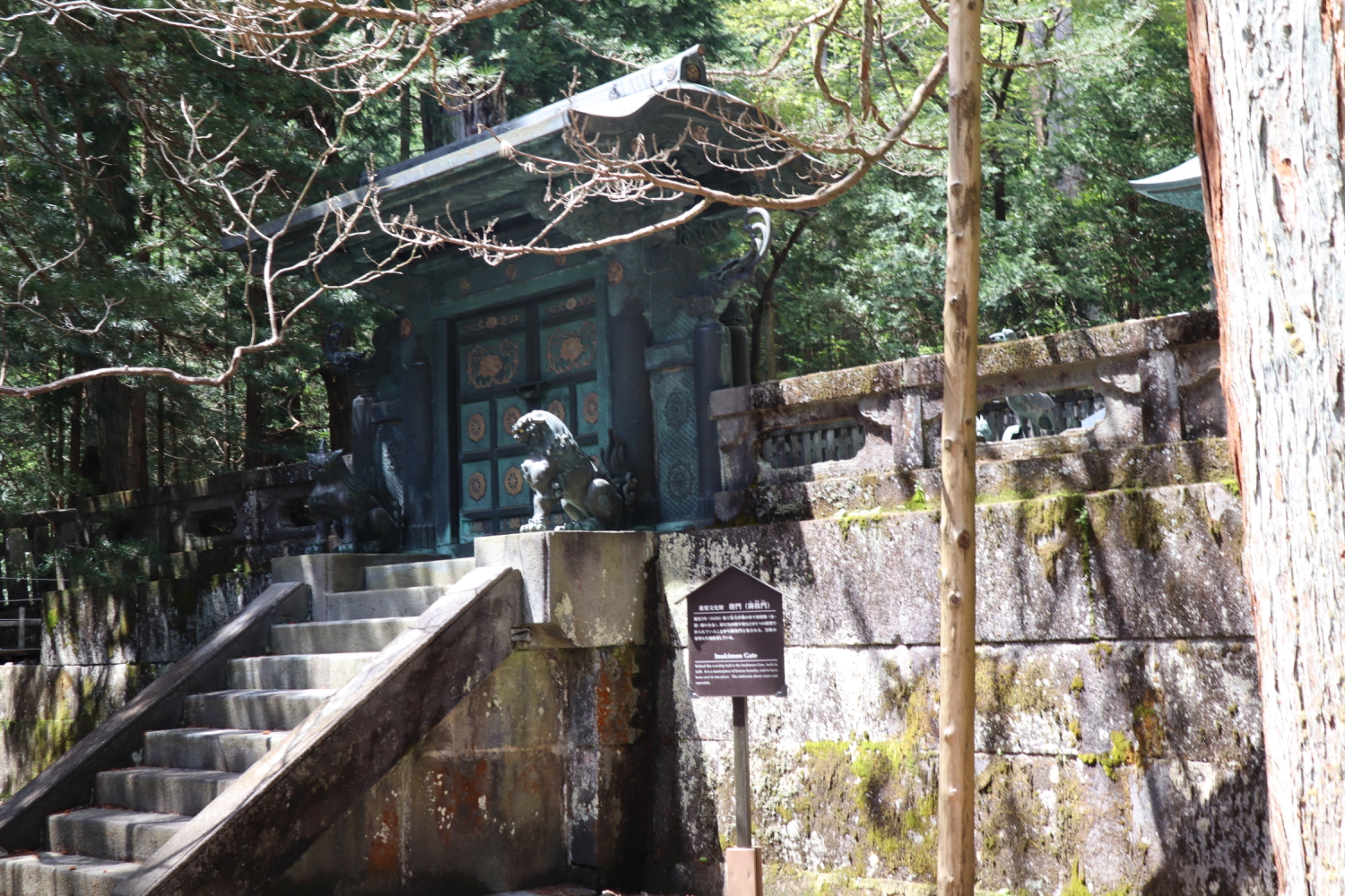IMG_1286.jpeg