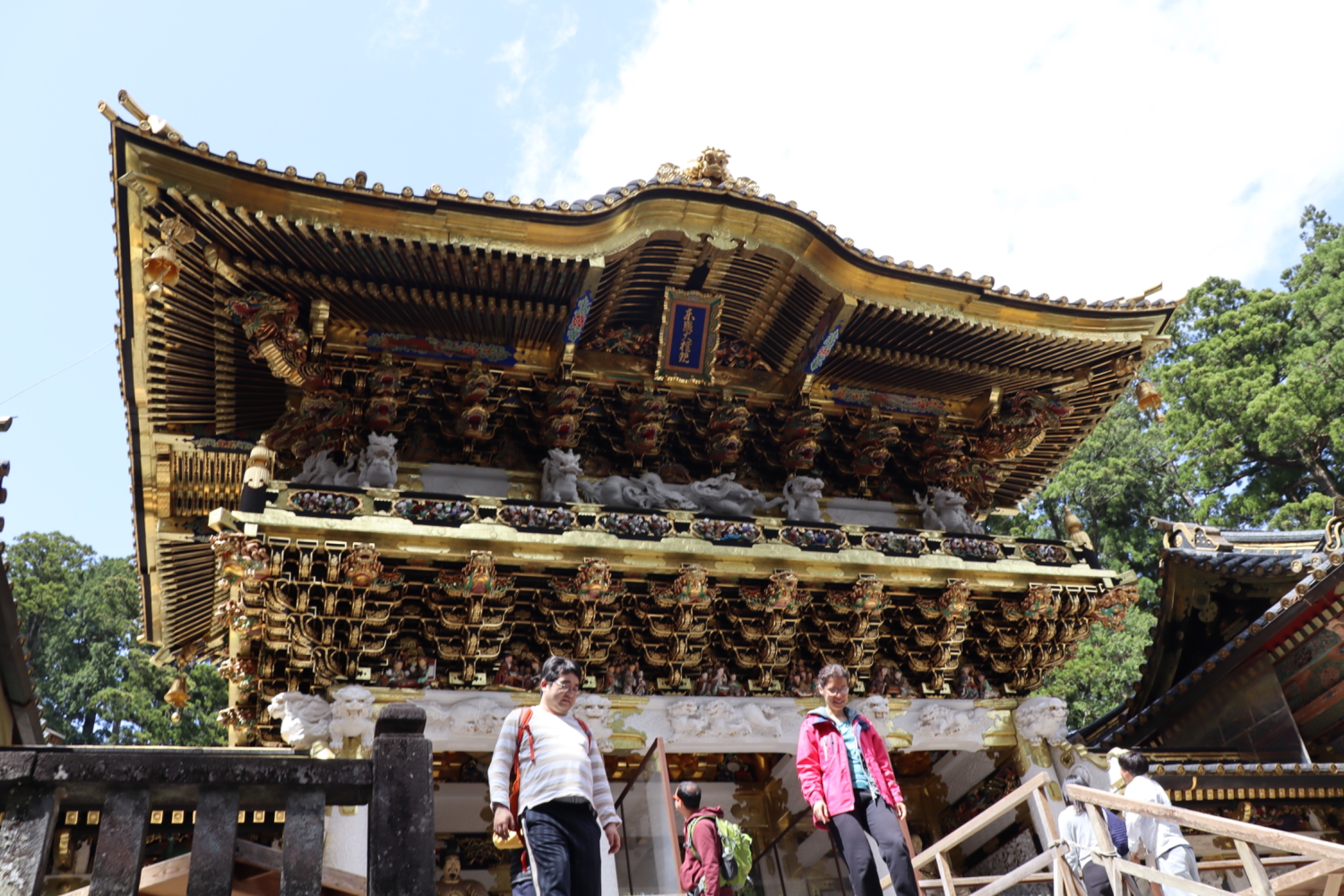 IMG_1334.jpeg