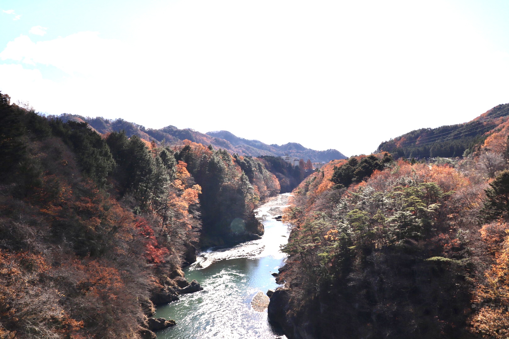 82E5A172-24B4-4D89-8DF2-EF06CC77D661.jpeg