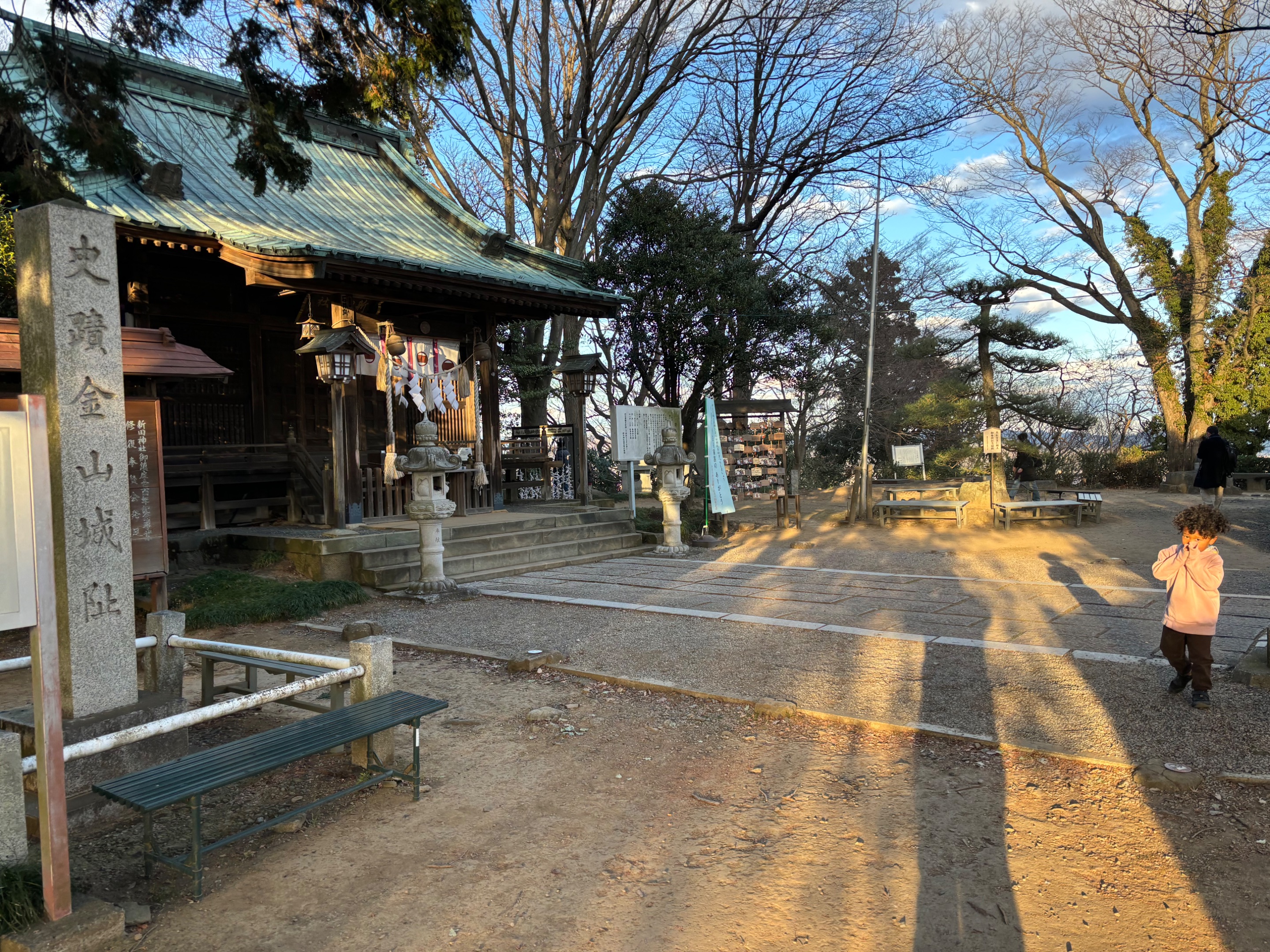 IMG_3310.jpeg