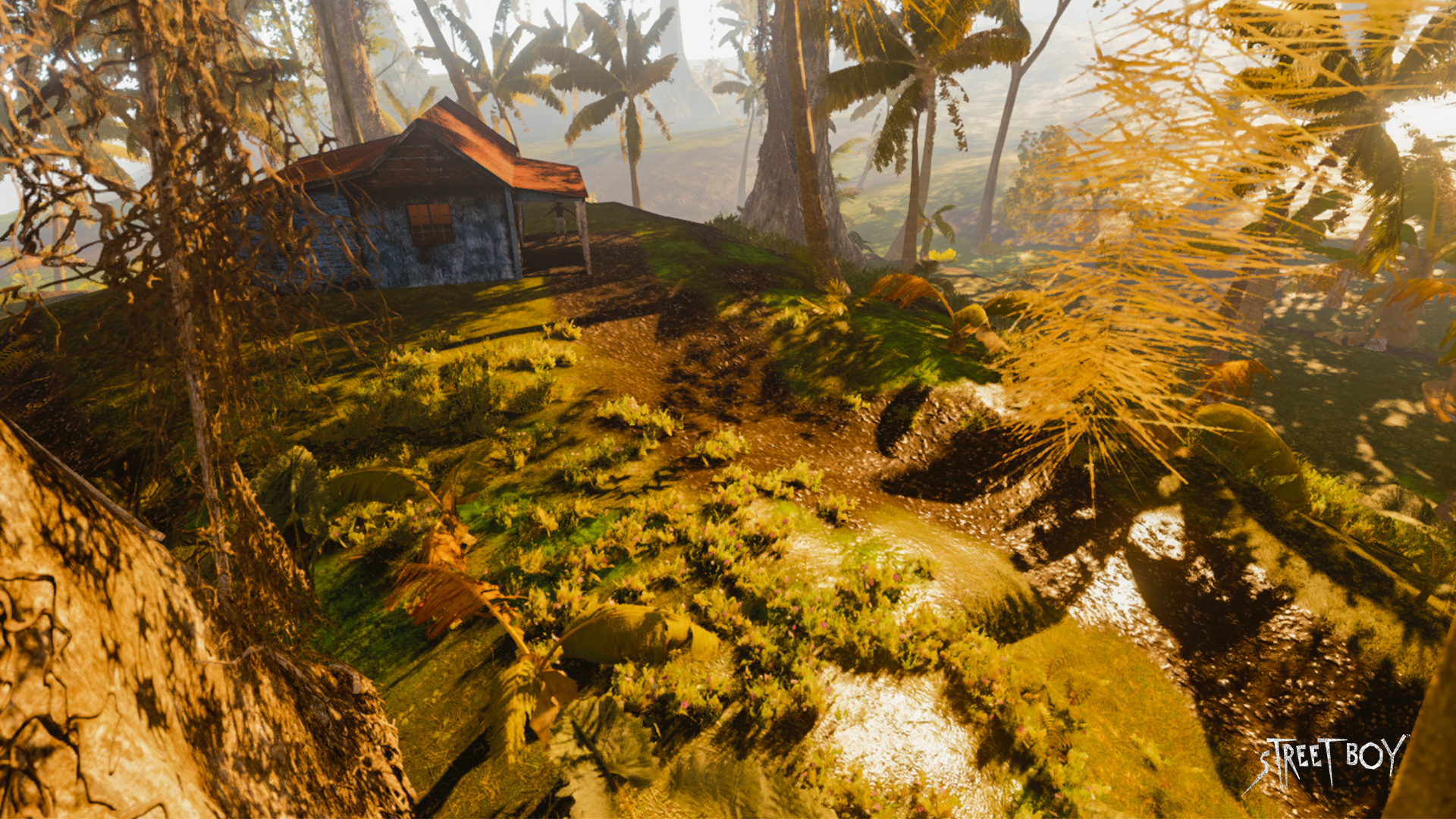 Environment.jpg