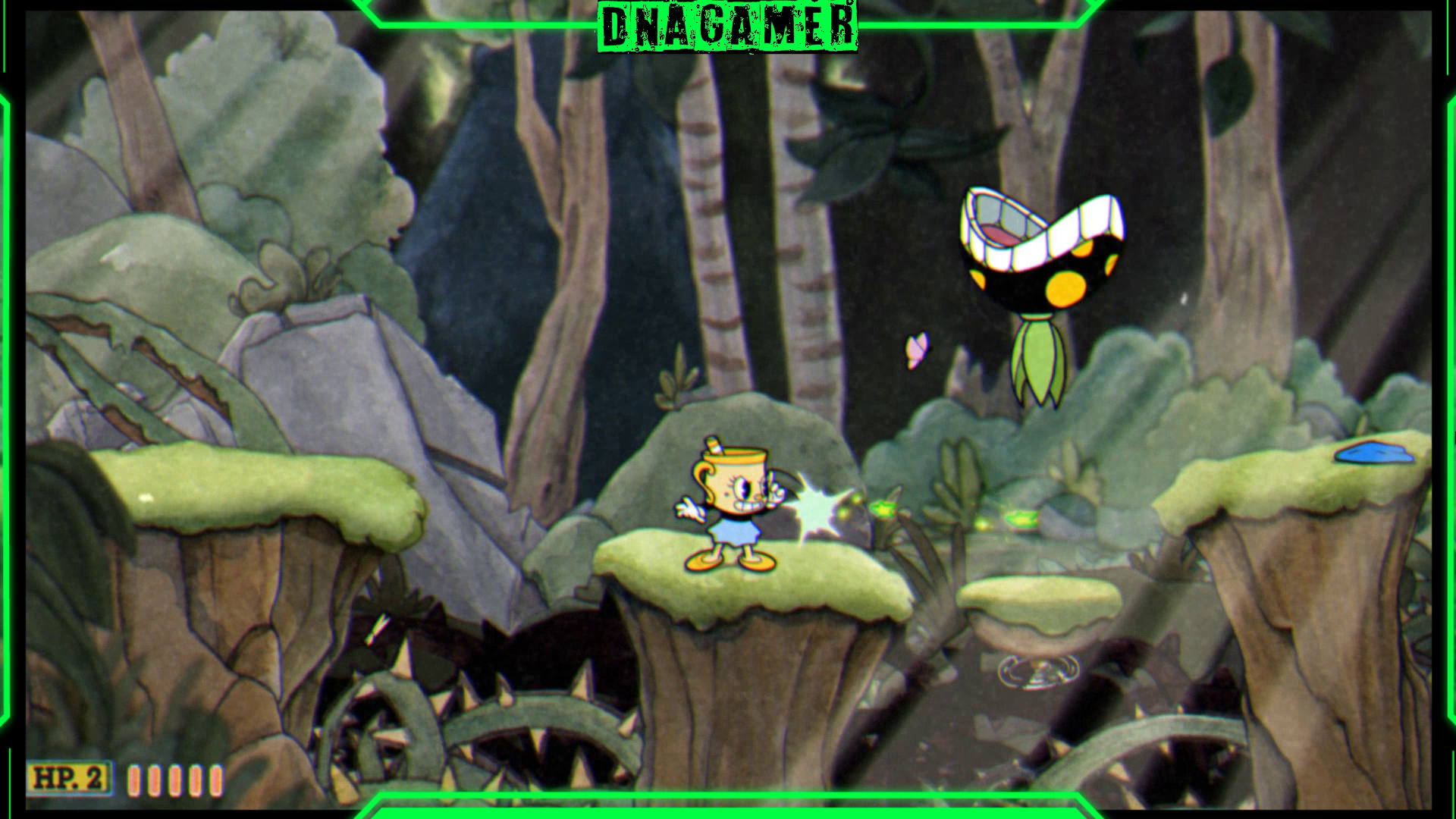 vlcsnap-2025-01-12-13h07m22s953.png