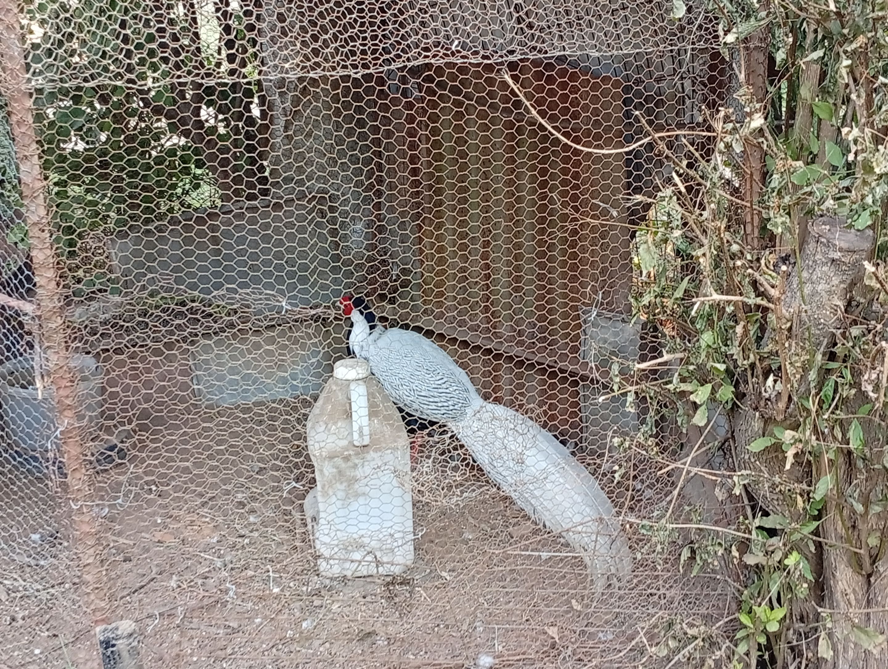 IMG_20250707_154254.jpg