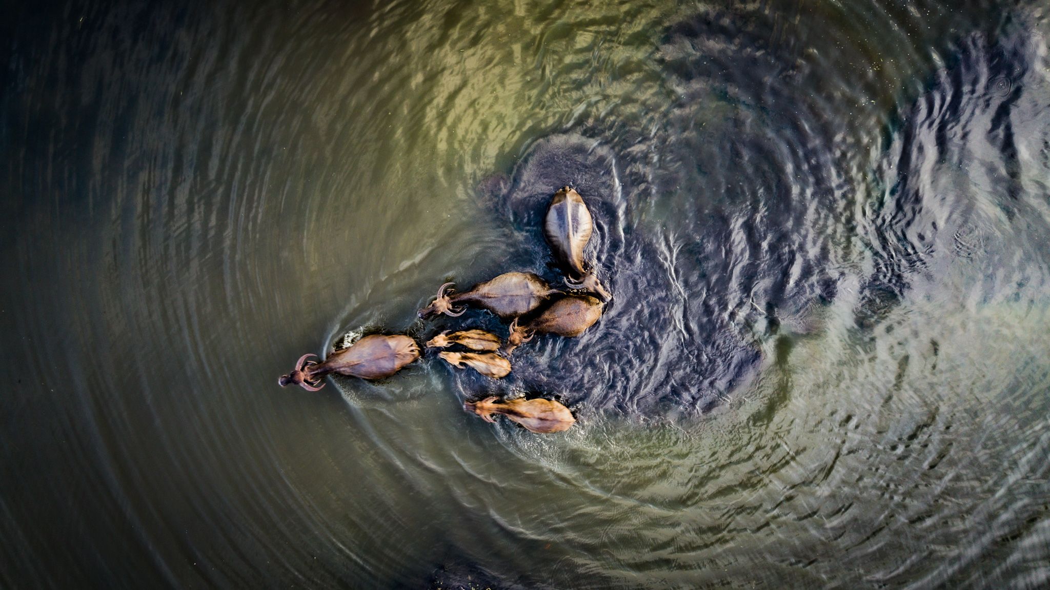 DJI_20230701170758_0261_D.jpg