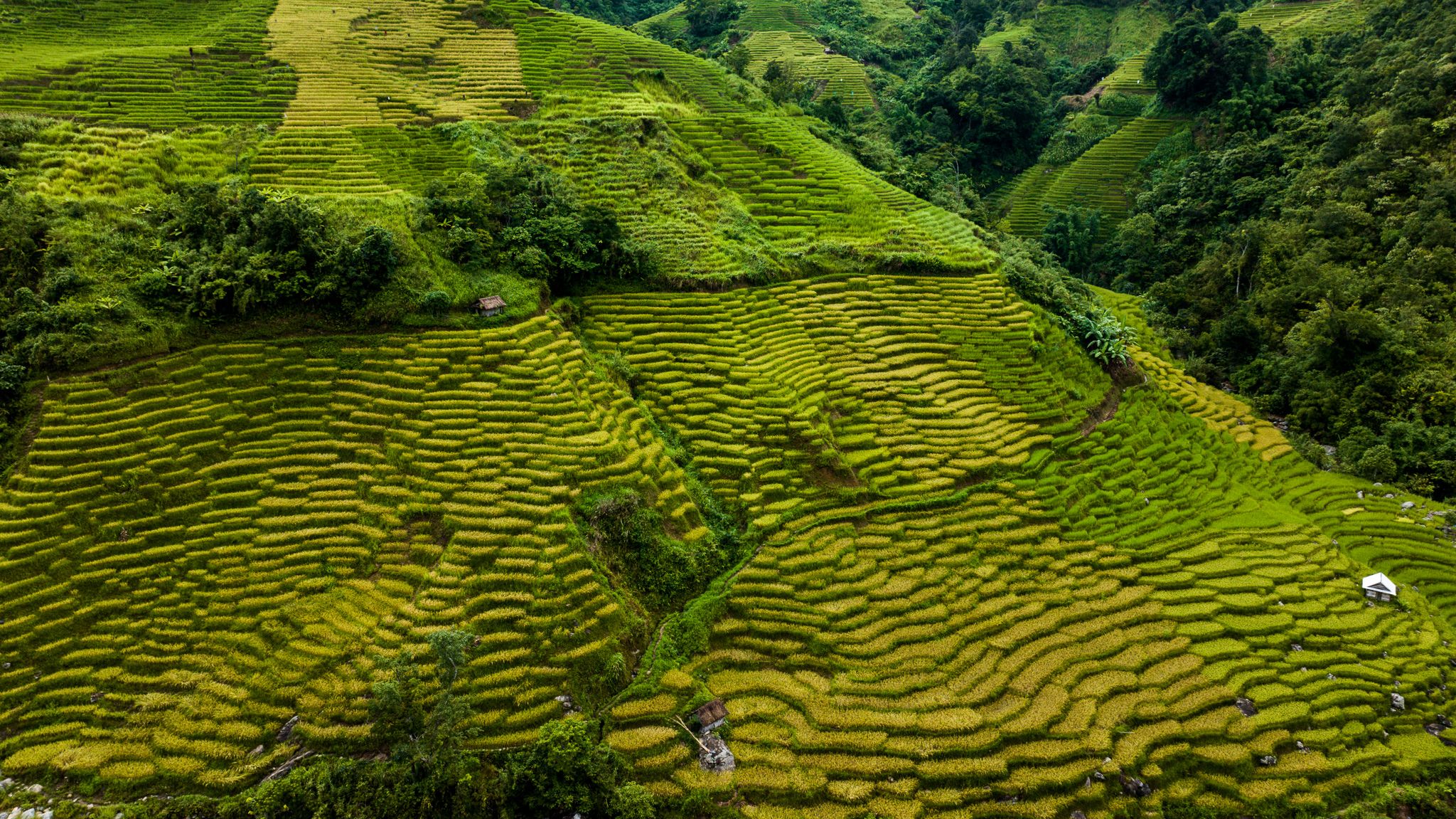 DJI_20230629153238_0140_D.jpg
