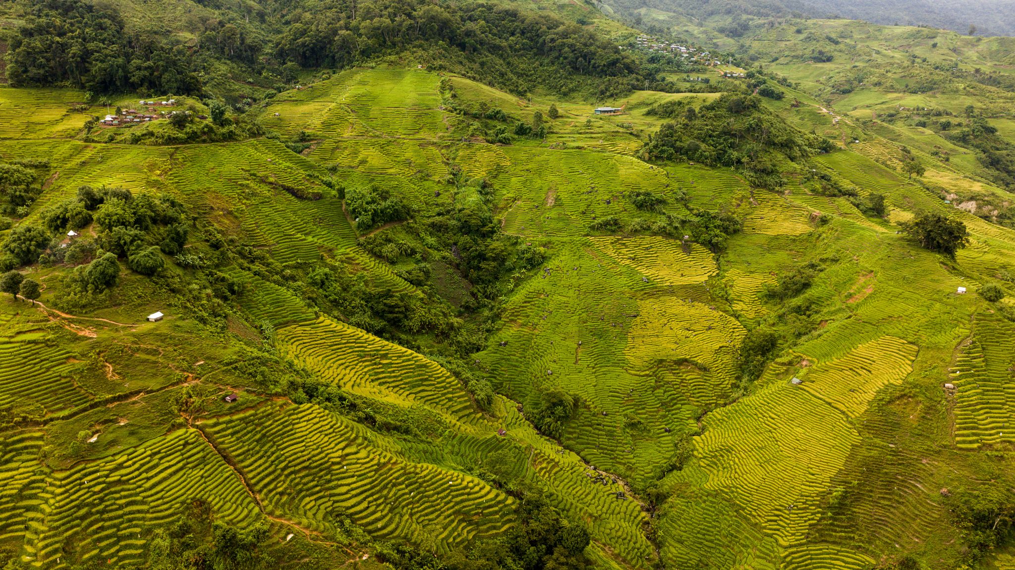 DJI_20230629141038_0100_D.jpg