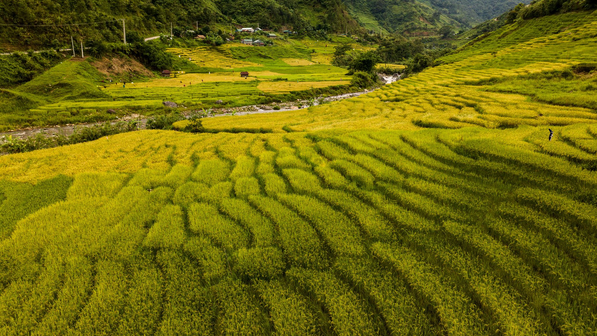 DJI_20230629152749_0132_D.jpg