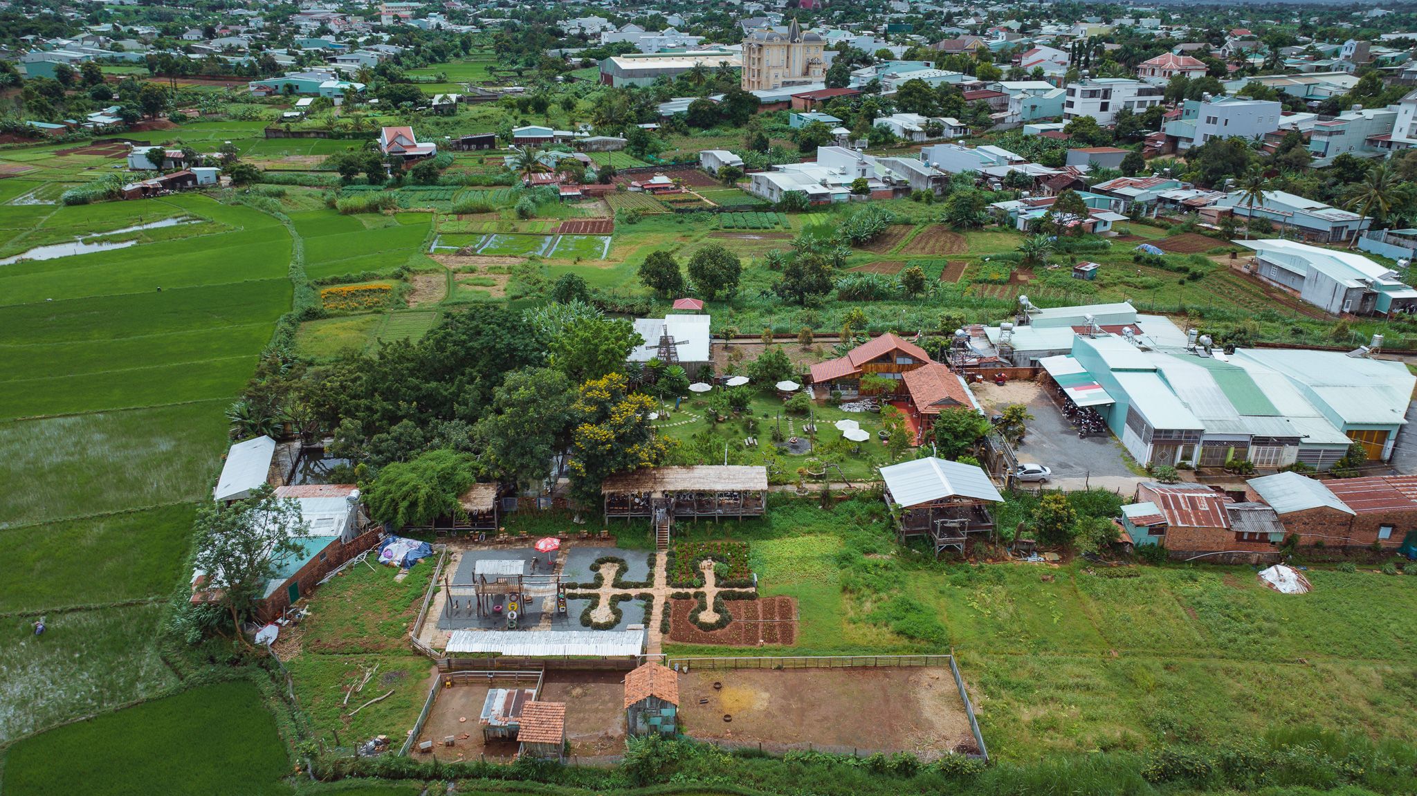 DJI_20230724101026_0243_D.jpg