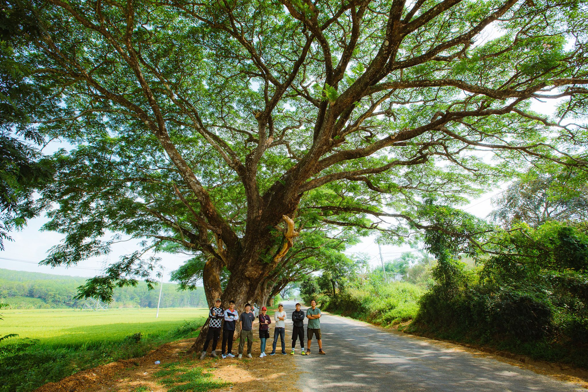 On the road to the waterfall