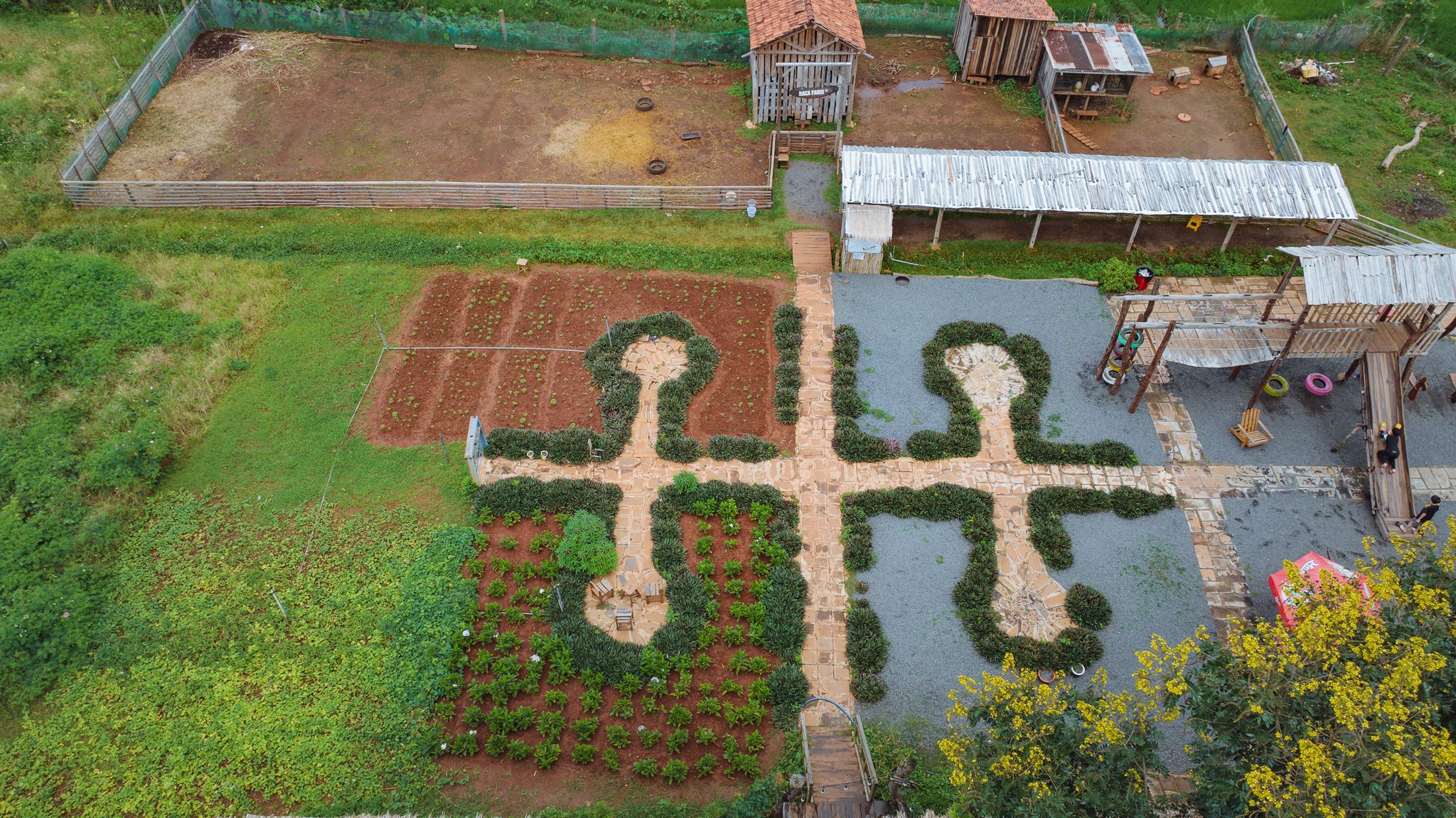 DJI_20230724101956_0261_D.jpg