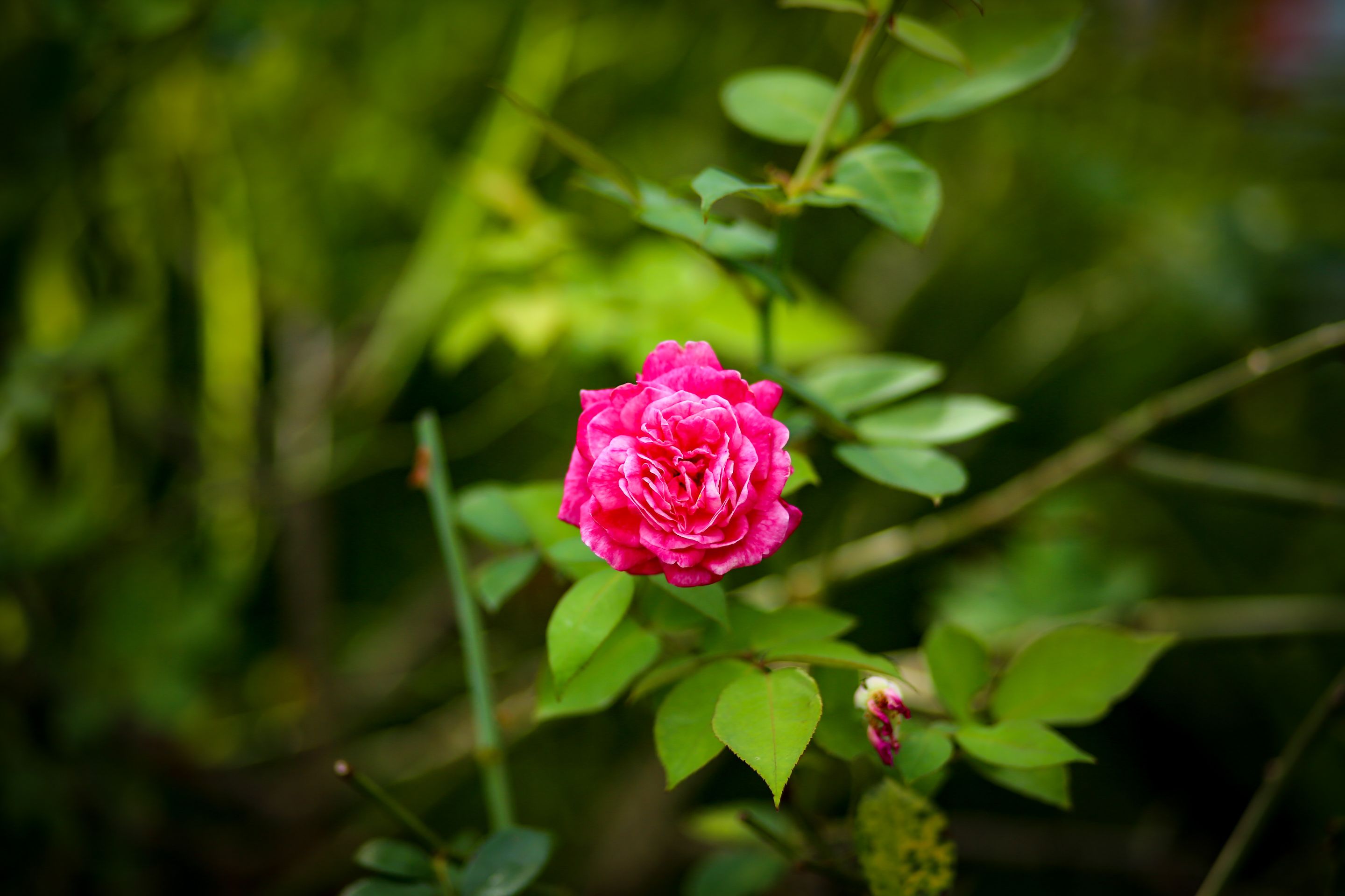 6M8A9610.jpg