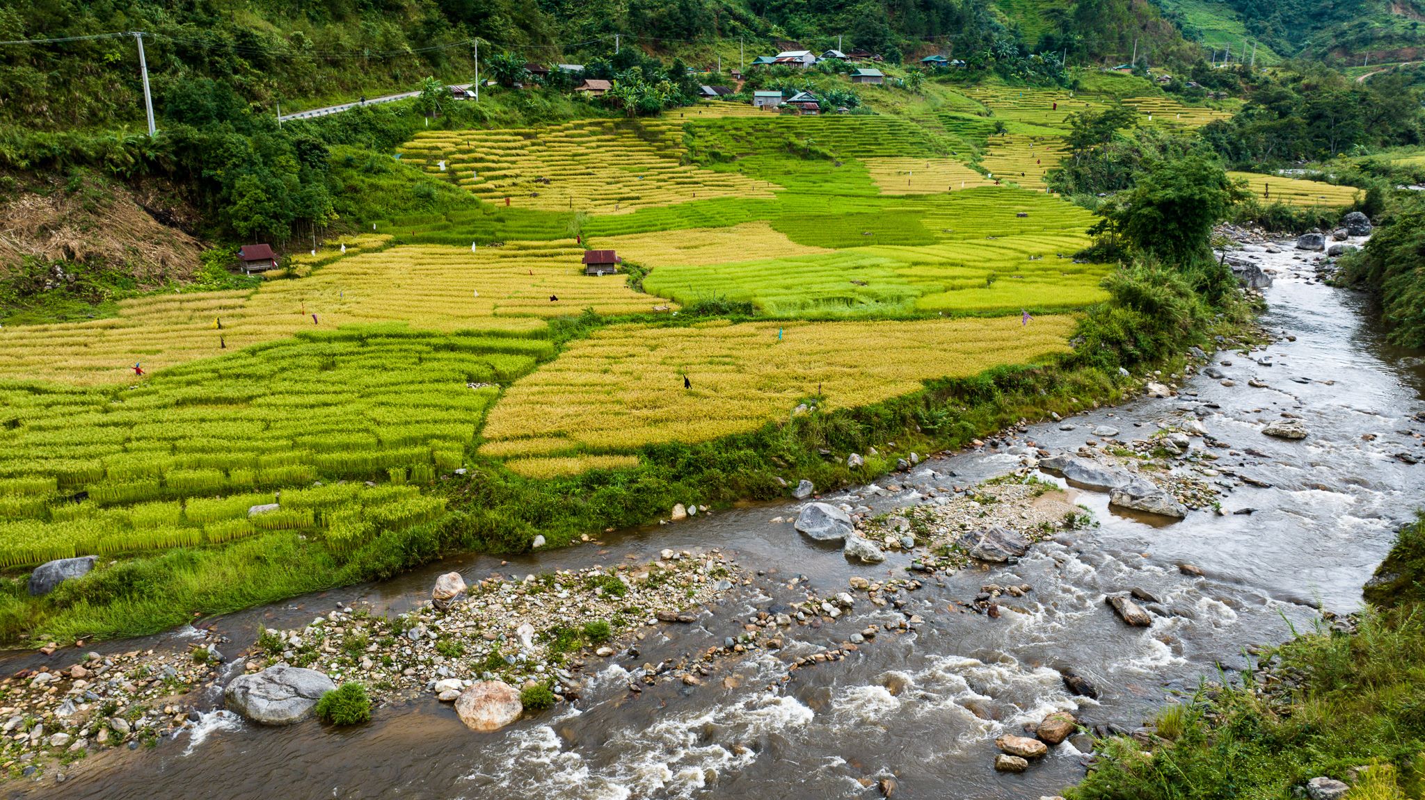 DJI_20230629153007_0136_D.jpg