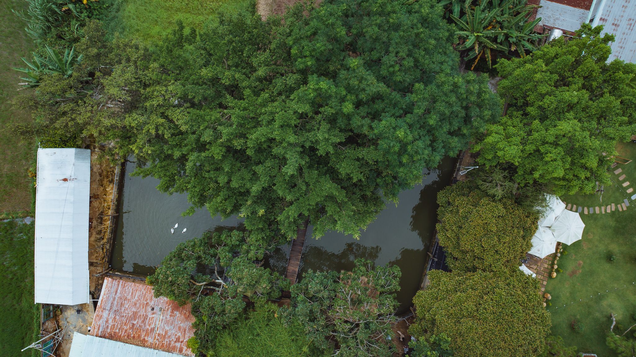 DJI_20230724101301_0247_D.jpg