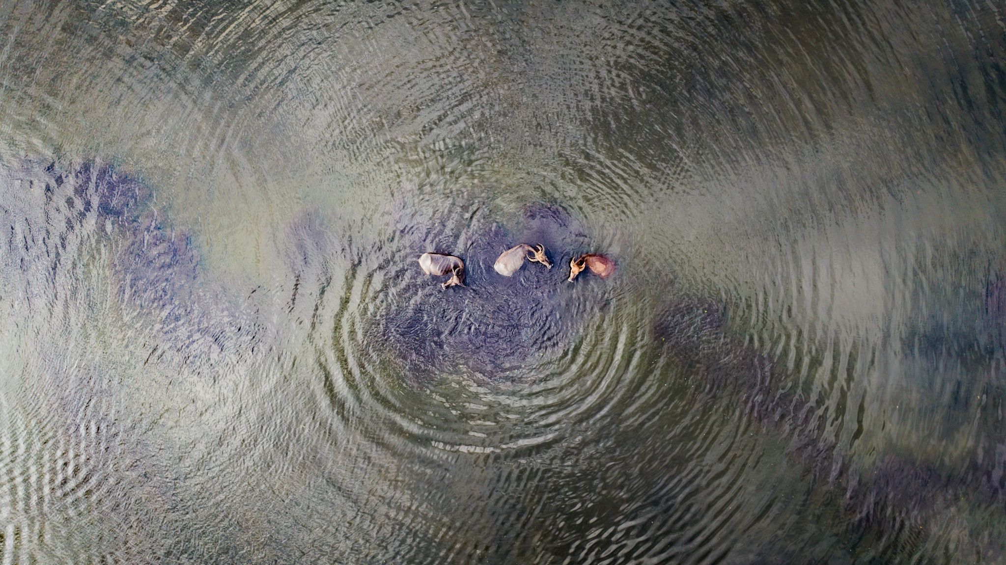 DJI_20230701164210_0245_D.jpg