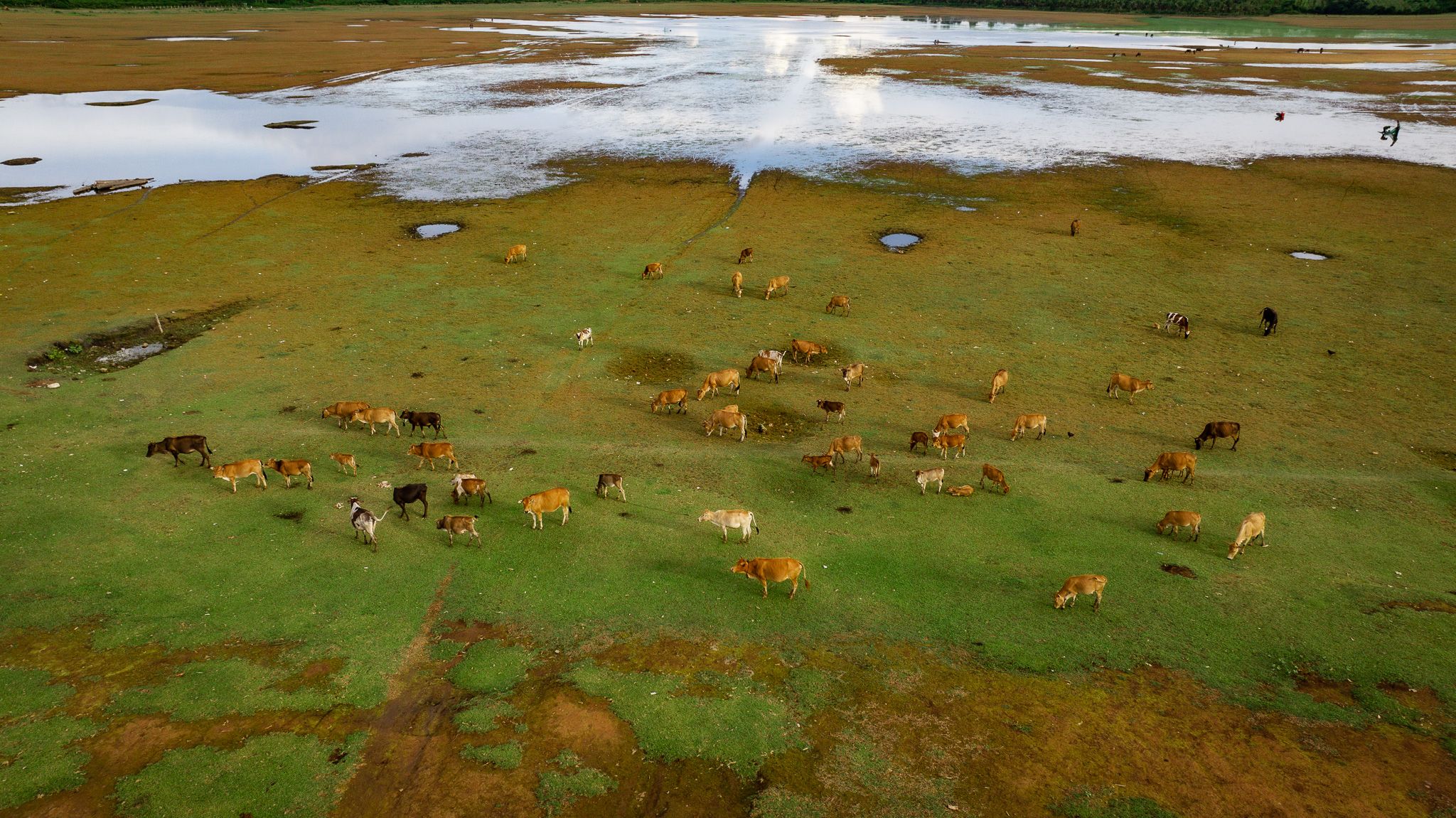 DJI_20230701161049_0165_D.jpg
