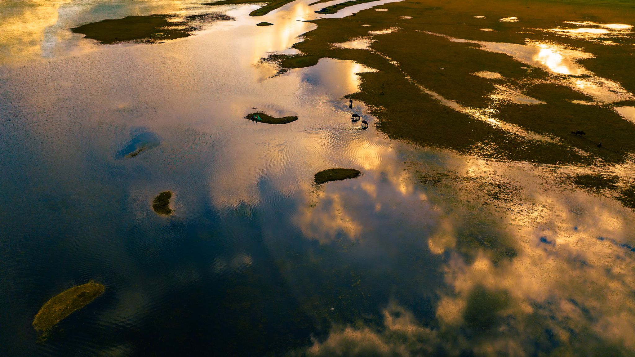 DJI_20230701161958_0176_D.jpg
