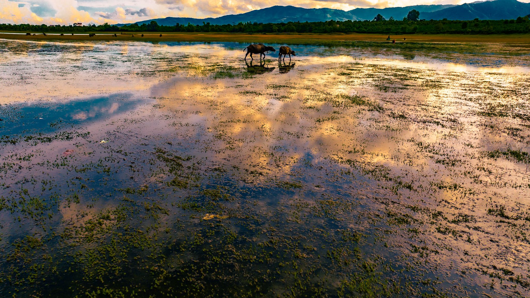 DJI_20230701161708_0172_D.jpg