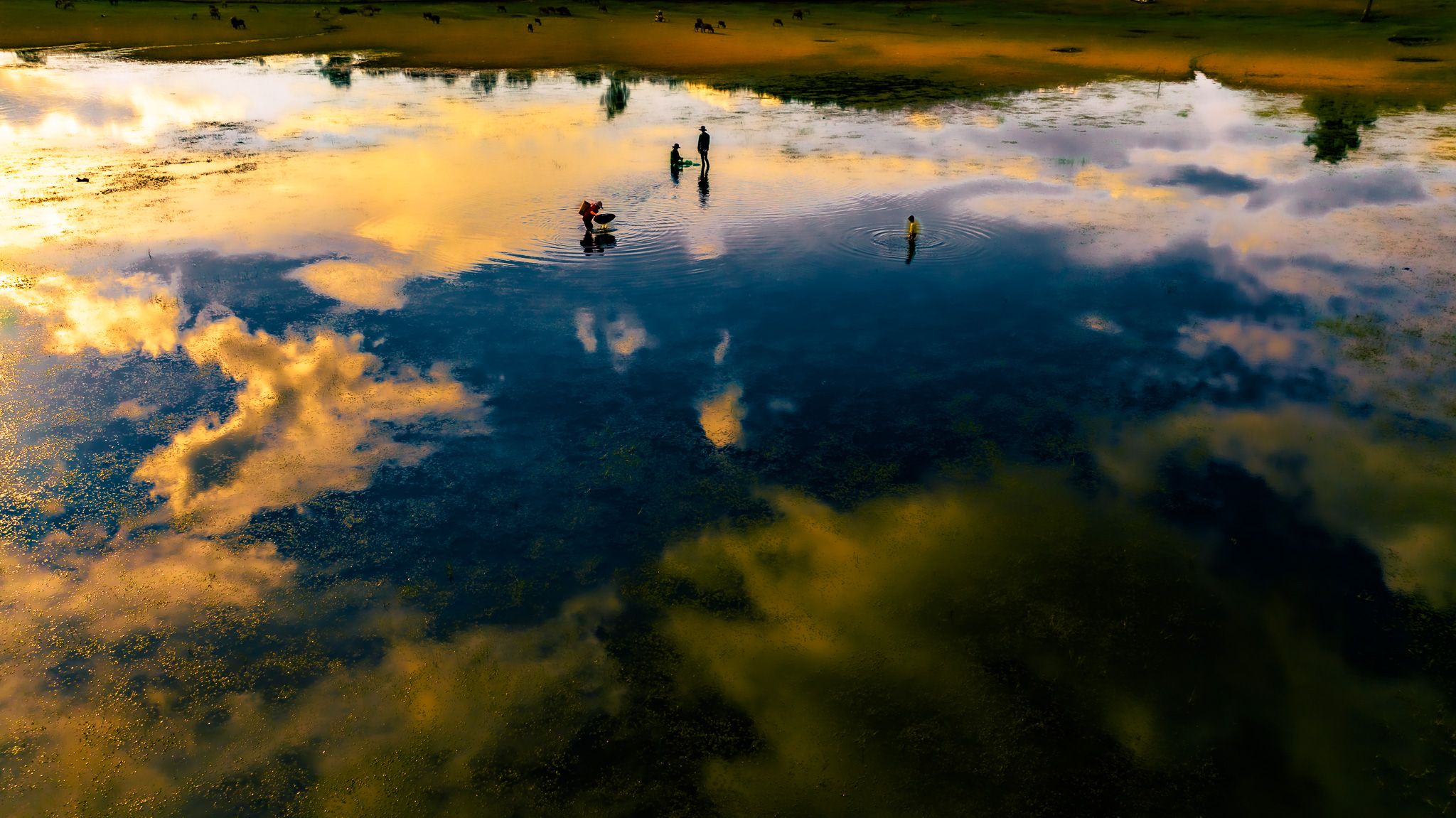 DJI_20230701163344_0223_D.jpg