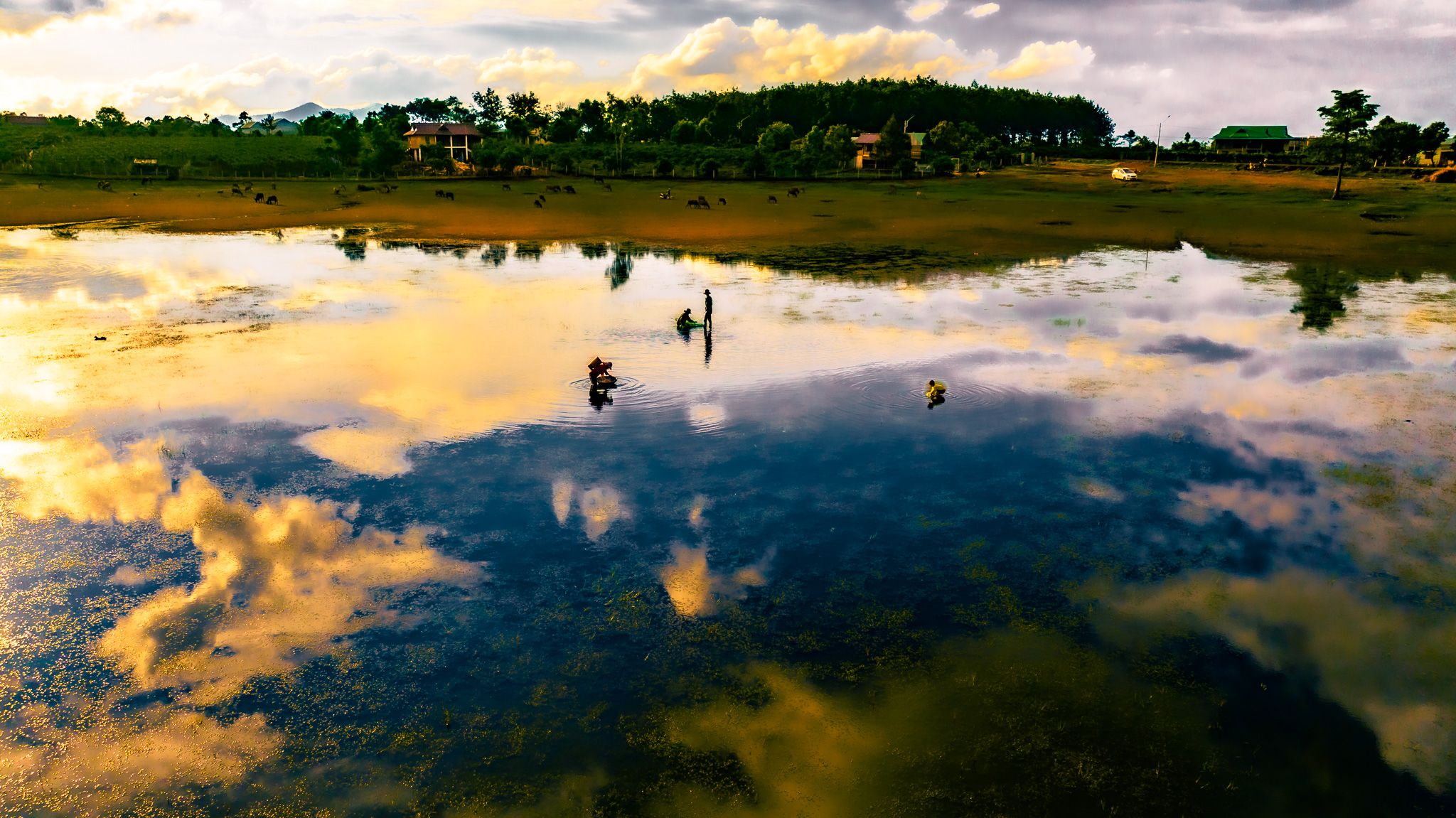 DJI_20230701163328_0221_D.jpg