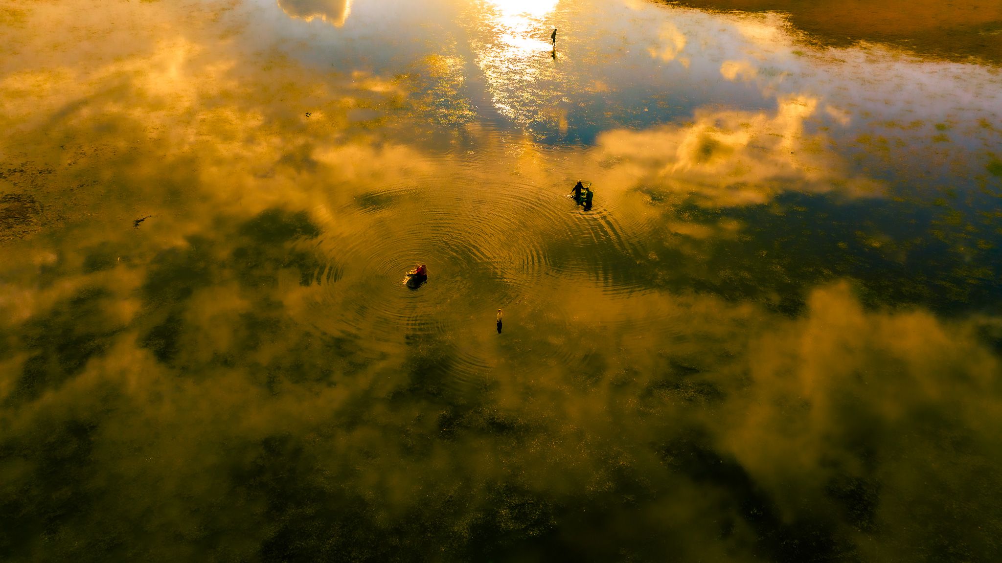 DJI_20230701163500_0231_D.jpg