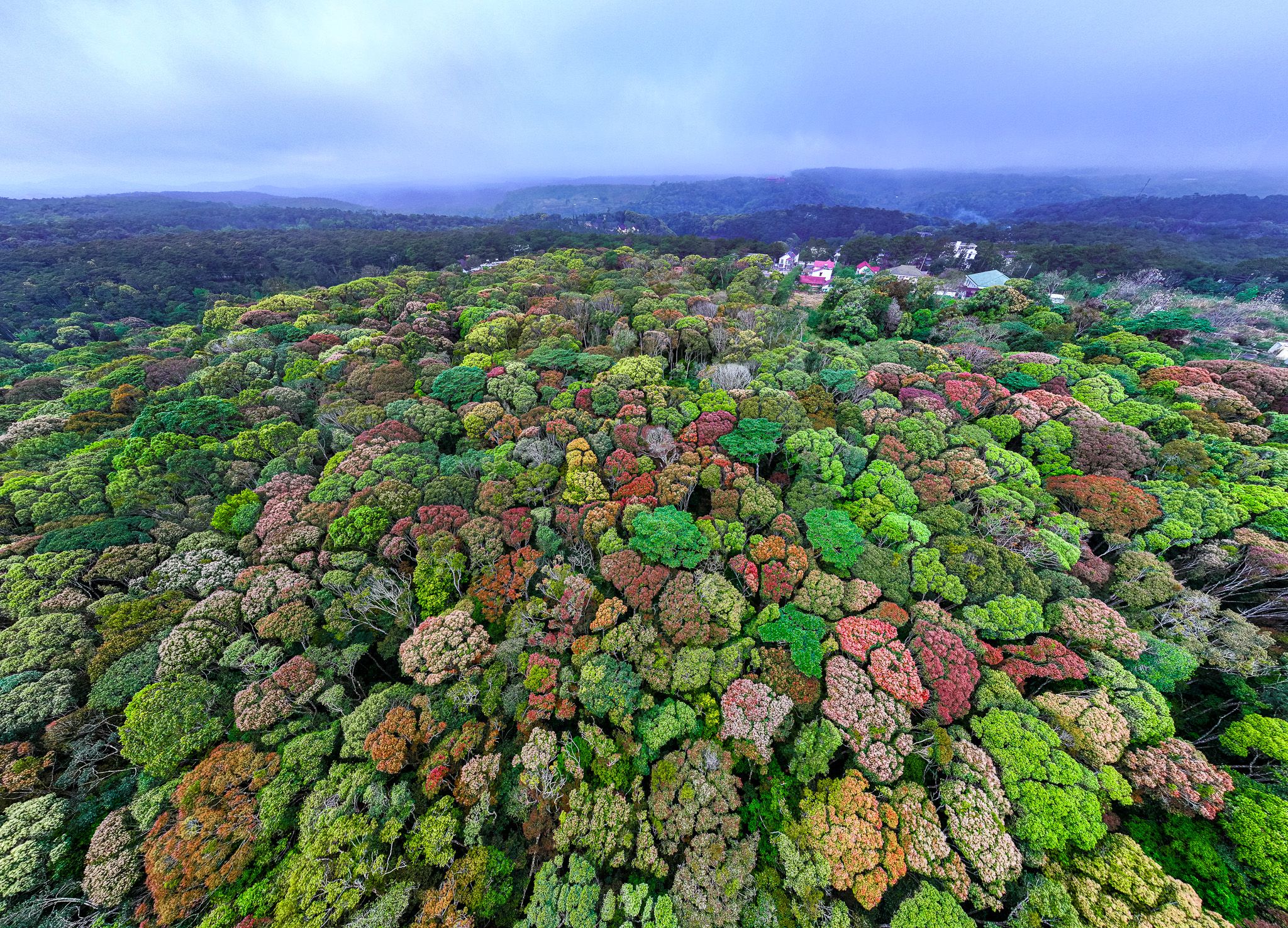 DJI_20250219110256_0196_D.jpg