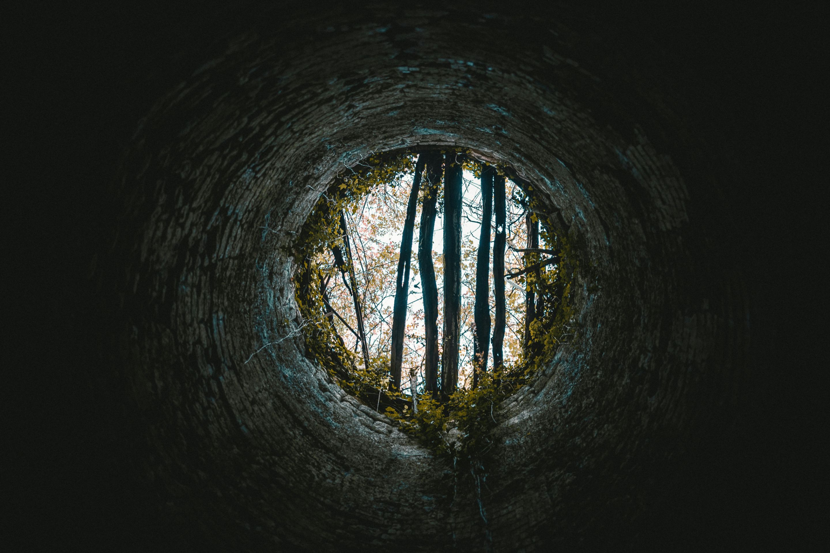 martin-baron-uORlNi8oS4U-unsplash.jpg