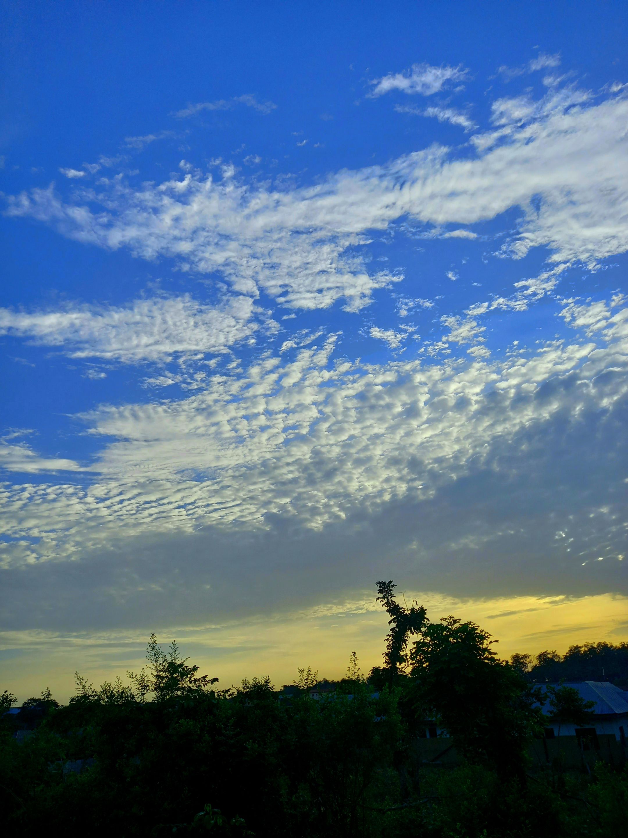 20210422_181141.jpg