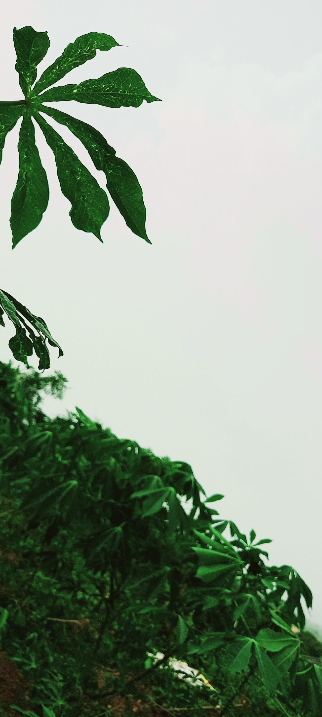 20210401_204948.jpg