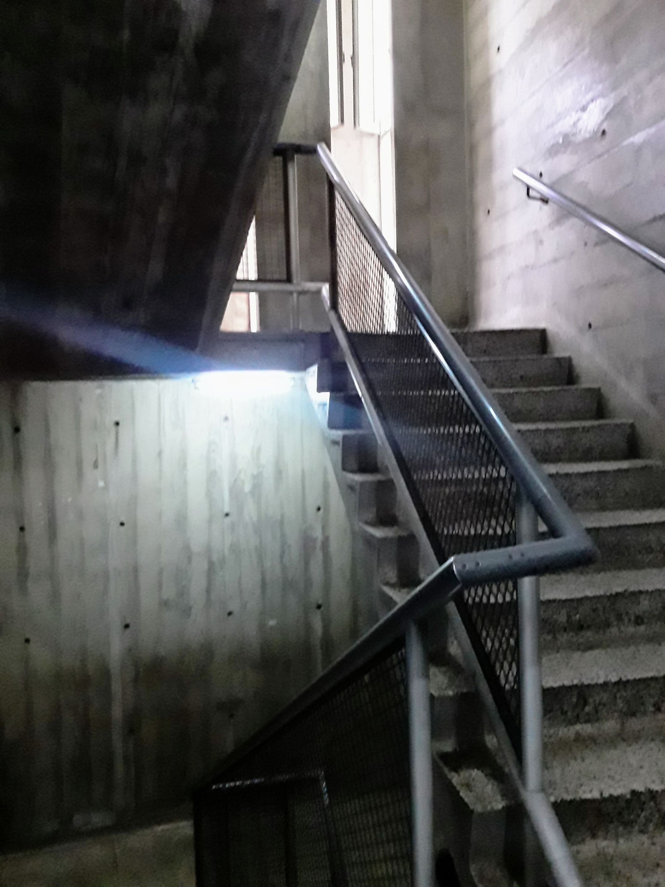 20250719_172102.jpg