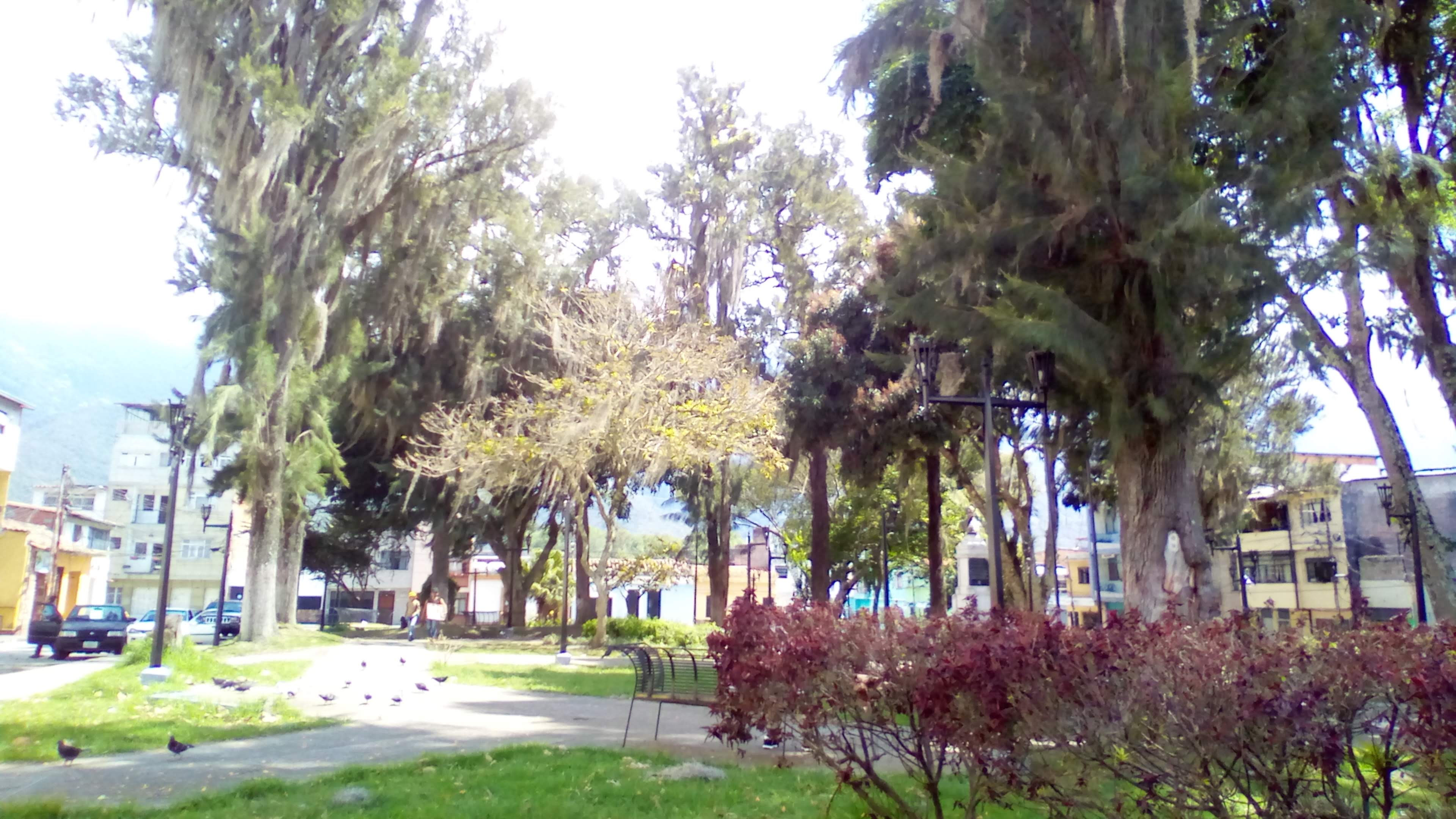 IMG_20230221_141617.jpg