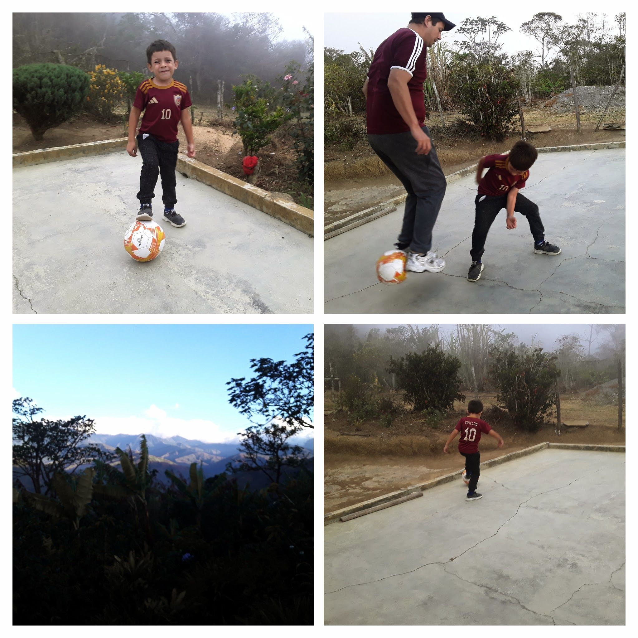 20250909_180025-COLLAGE.jpg