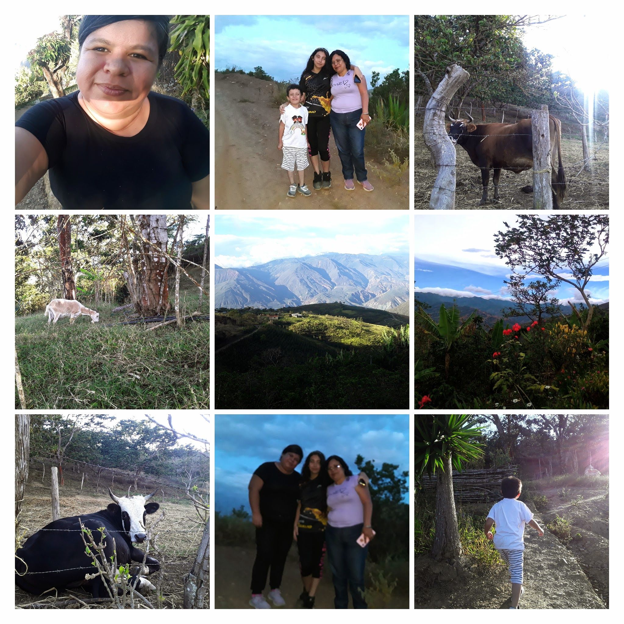IMG-20250912-WA0007-COLLAGE.jpg