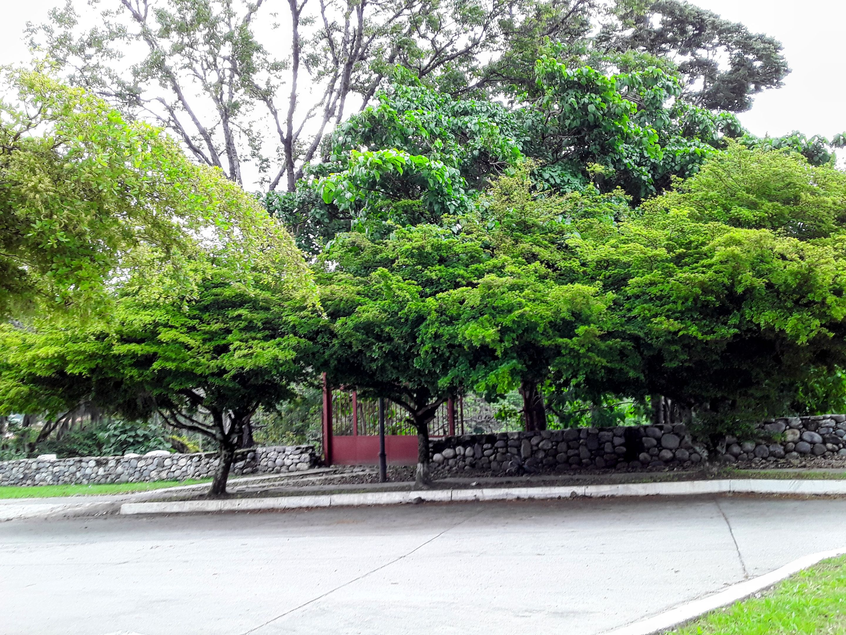 20250511_170636-EDIT.jpg