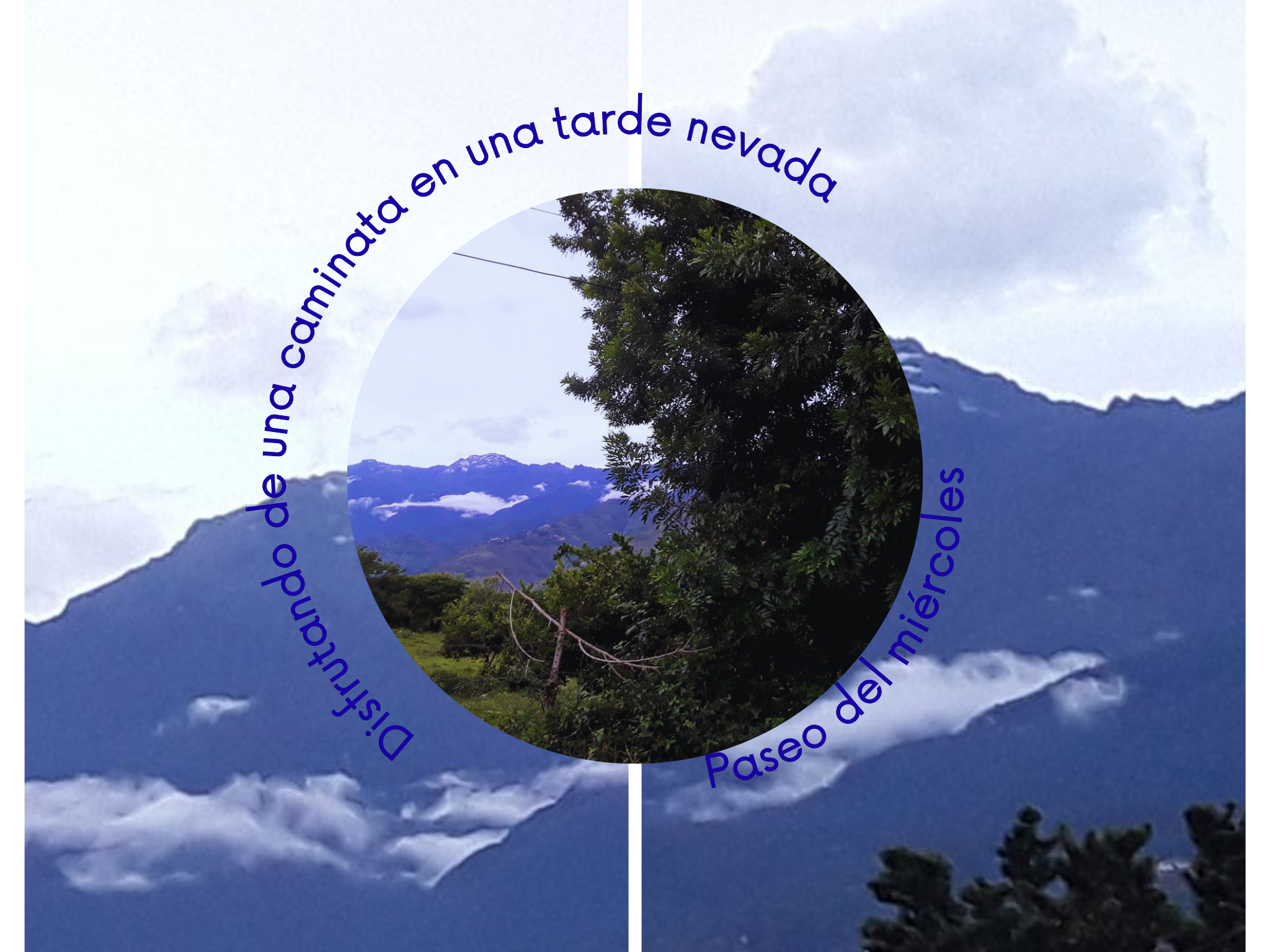 Añadir un título (1).png