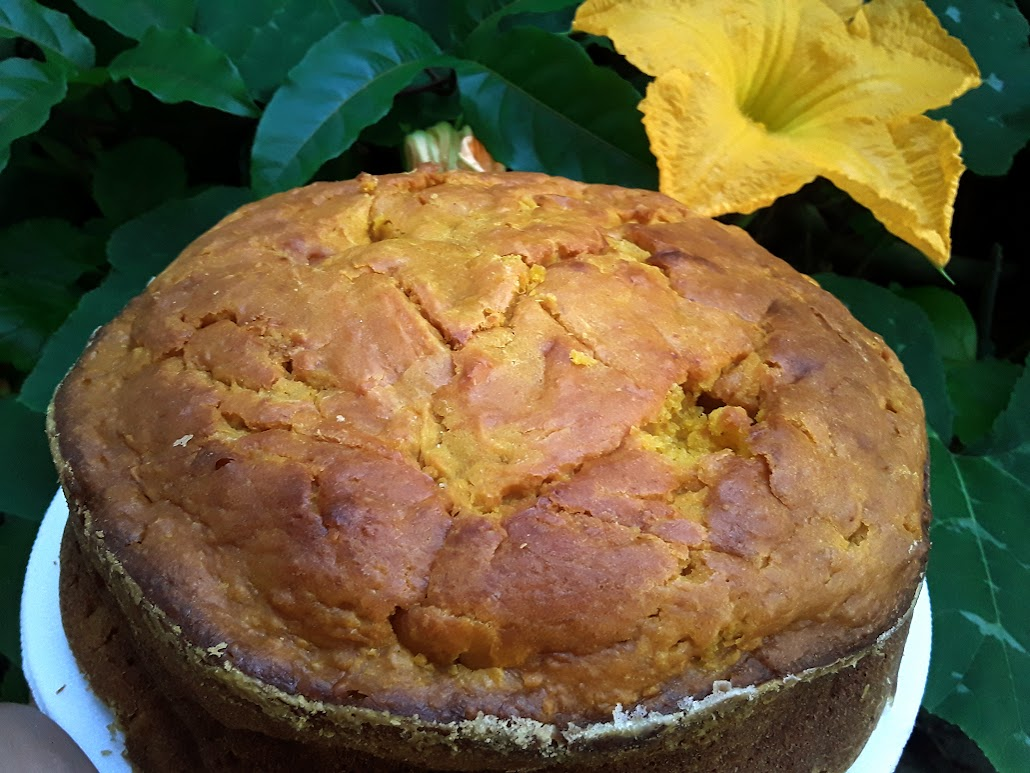 Delicious pumpkin cake.    Eng-Esp