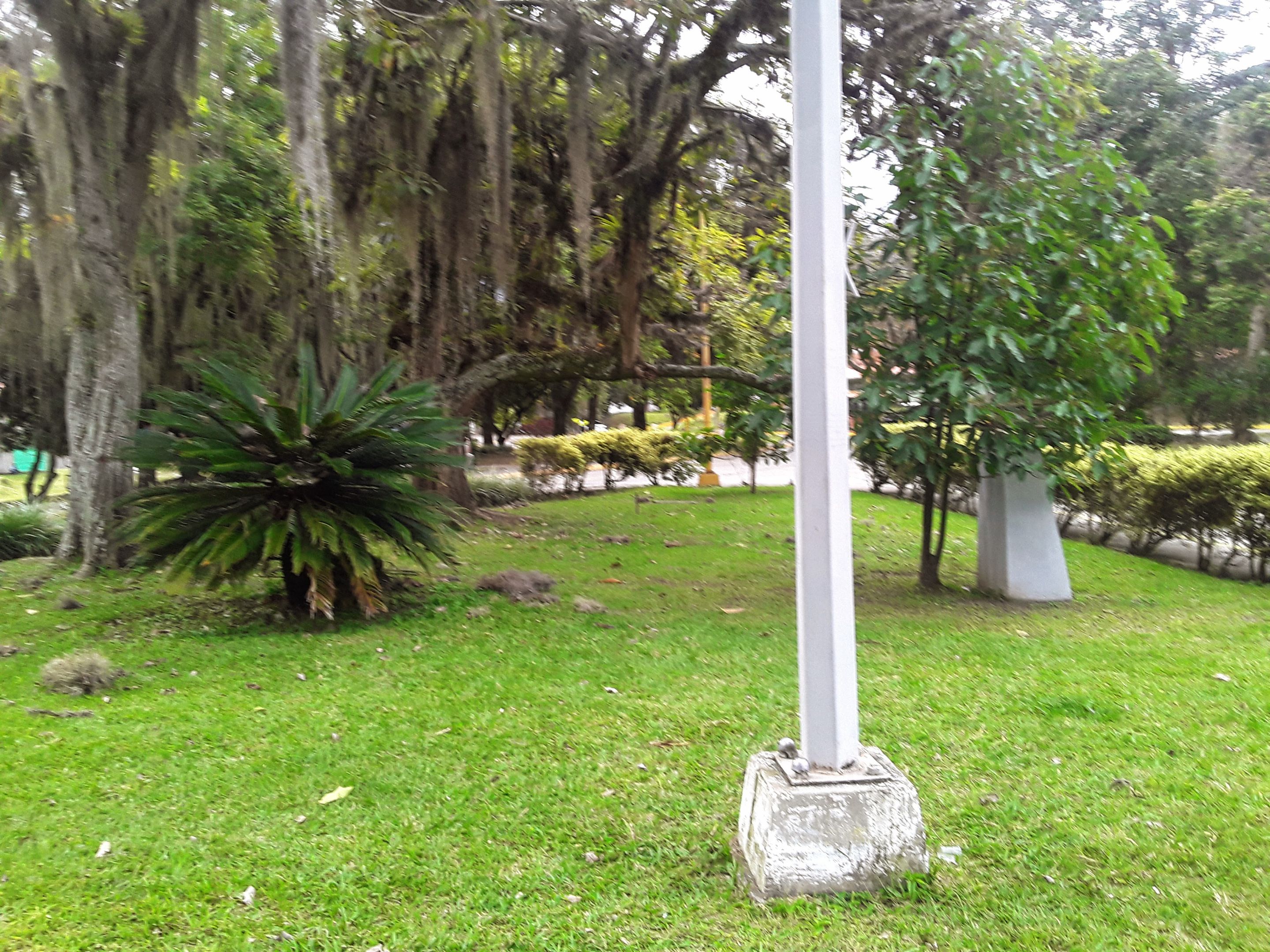 20250719_170442.jpg