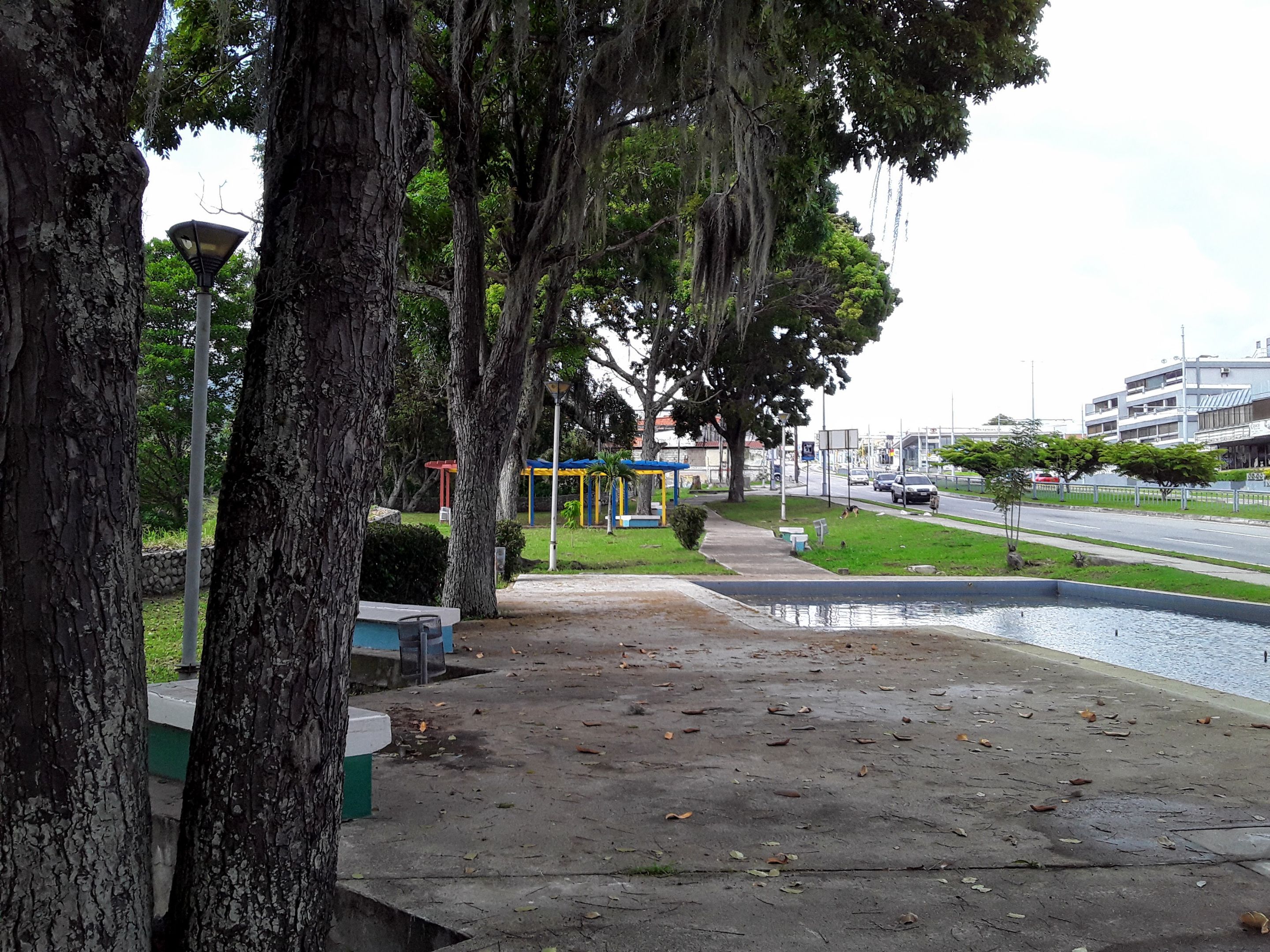 20250511_163939.jpg