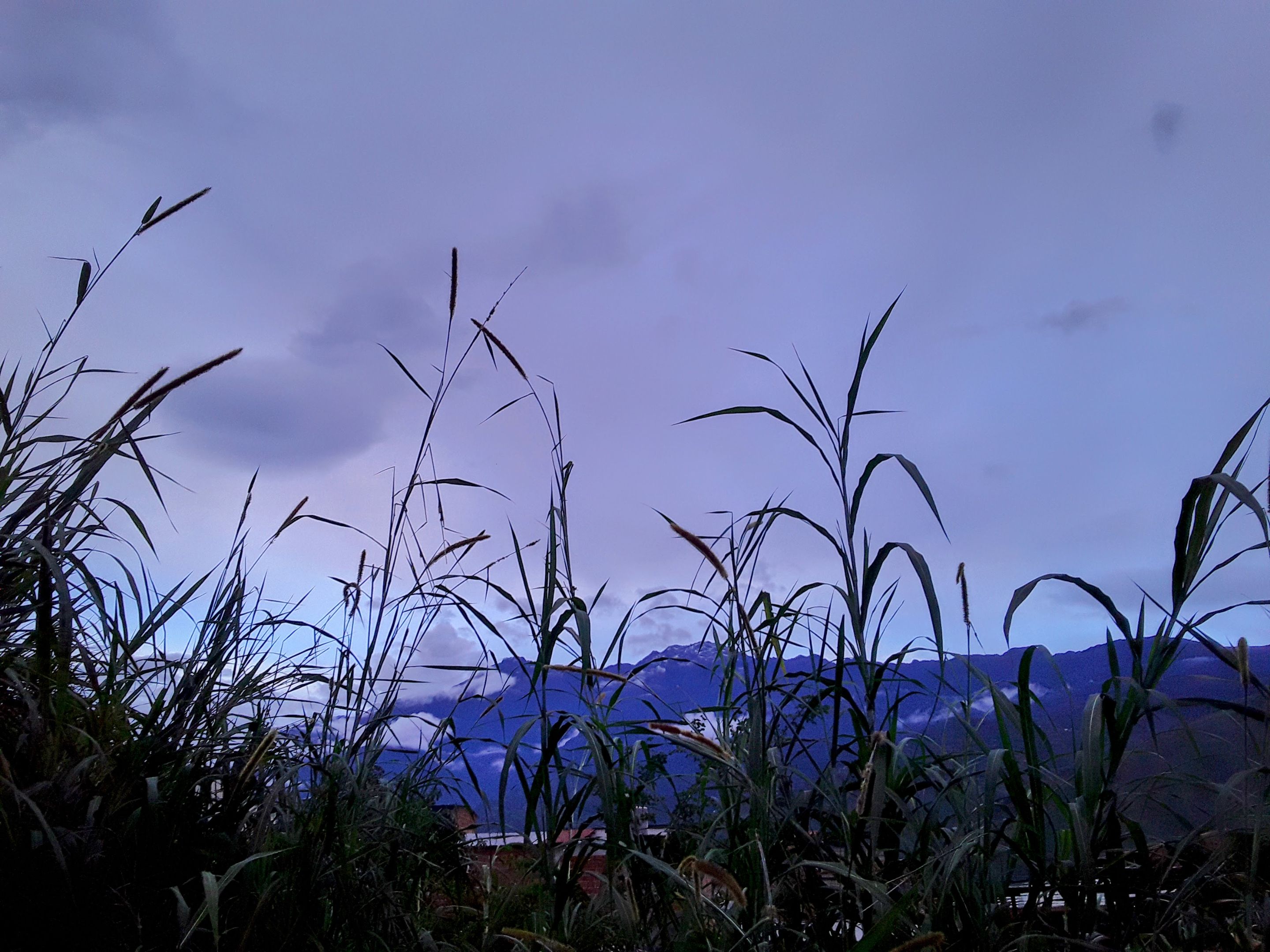 20250704_183728-EDIT.jpg