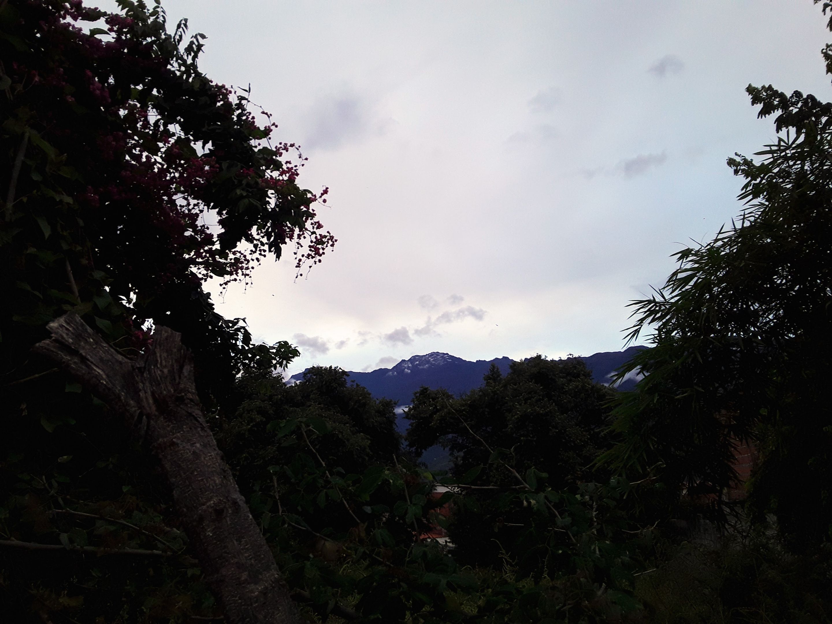 20250704_183612.jpg