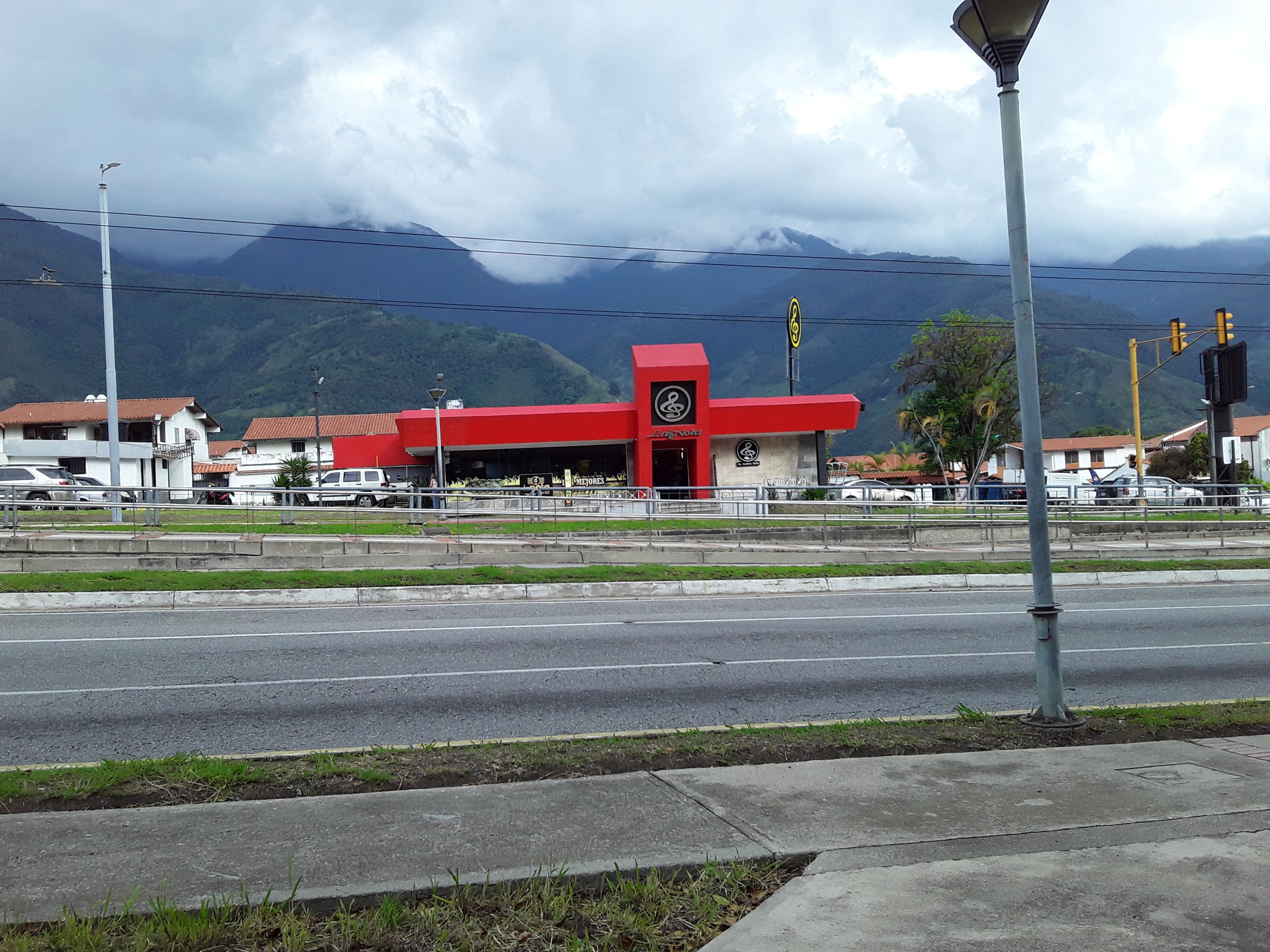 20250511_165131.jpg
