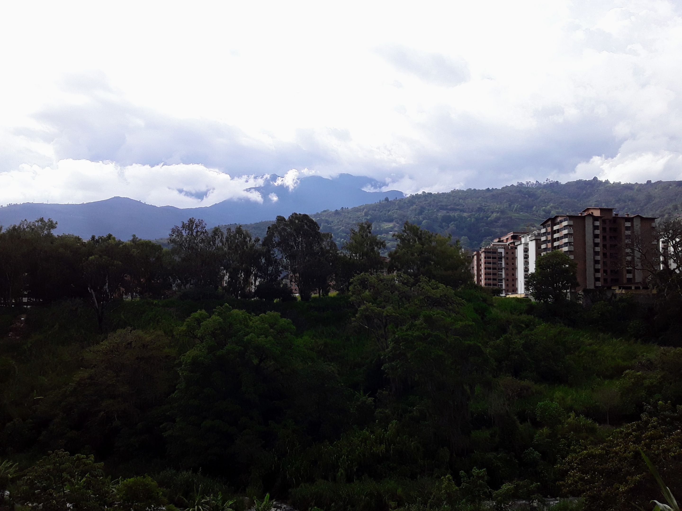 20250511_164125.jpg