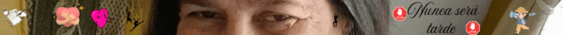 Separador Nunca será tarde.gif