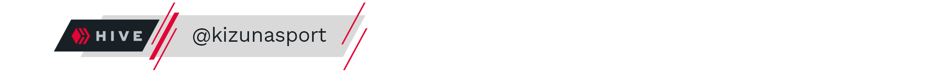 kizunasport.png