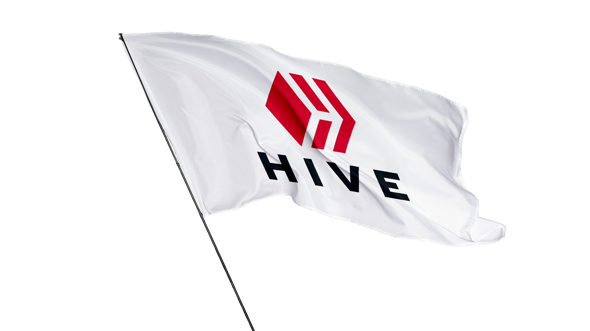 HIVE FLAG transparente.png