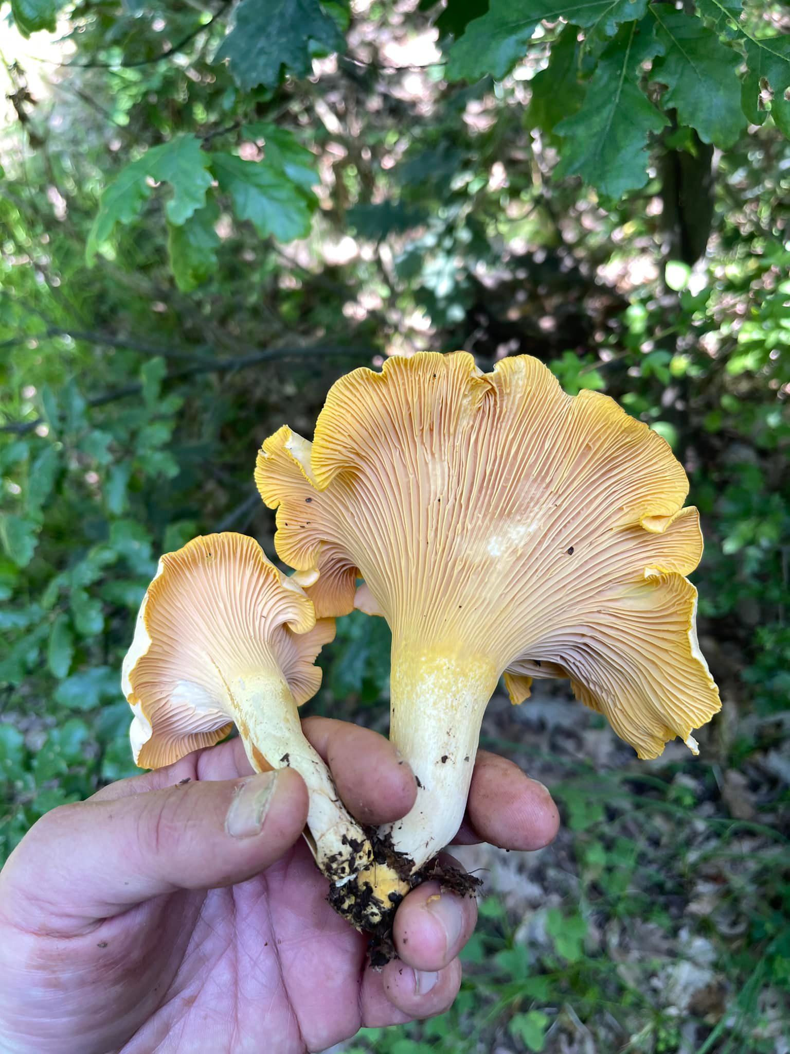 480453734_1063080769188542_6616446467417430863_n (1).jpg