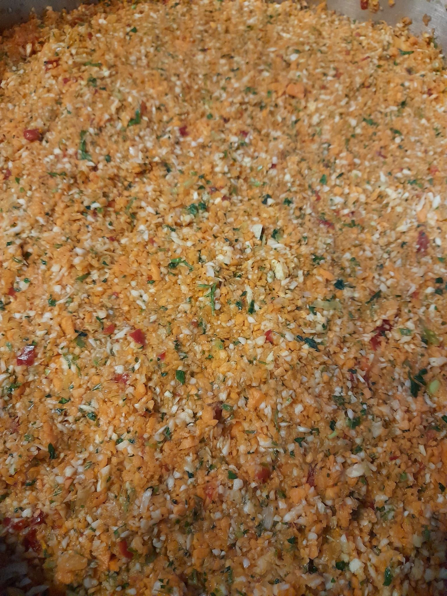 558867611_2605085919857515_3727539052898848918_n (1).jpg