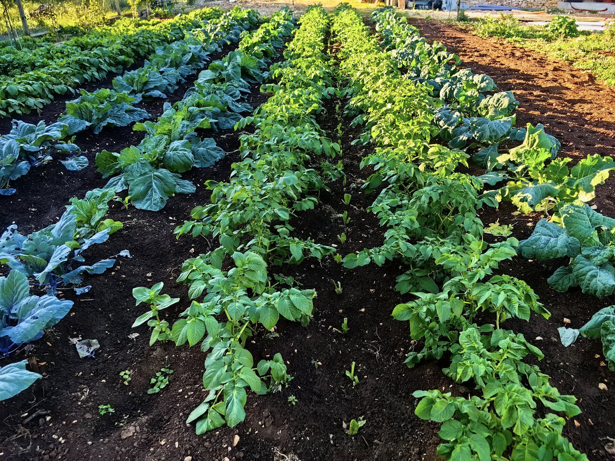 558486235_25747803188156244_2946199727029196834_n (1).jpg