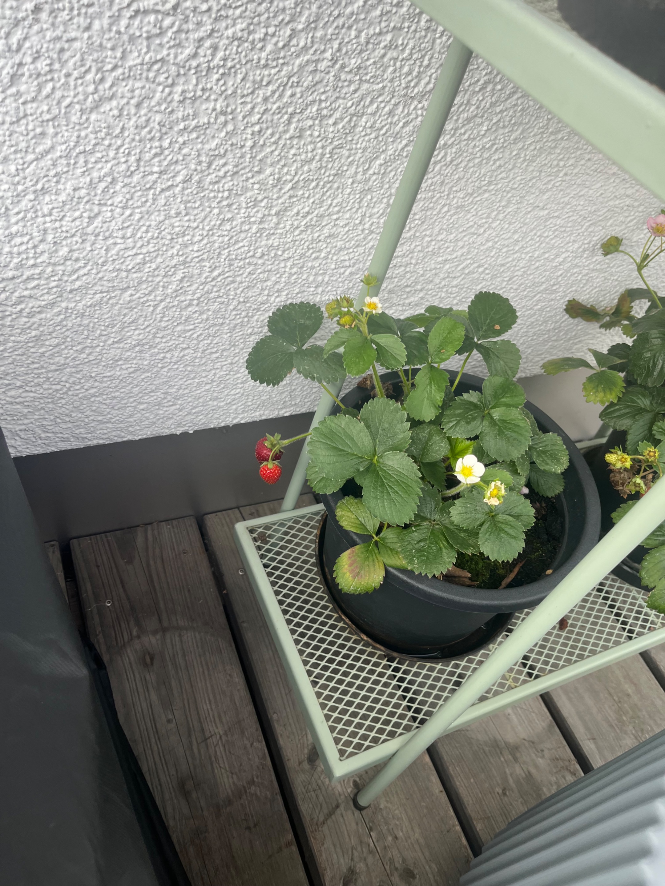 IMG_8062.jpeg